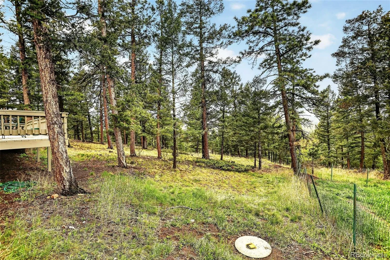 28221 Bonanza Drive Evergreen CO 80439 | MLS #REC5779295 05212026184517 1600 40