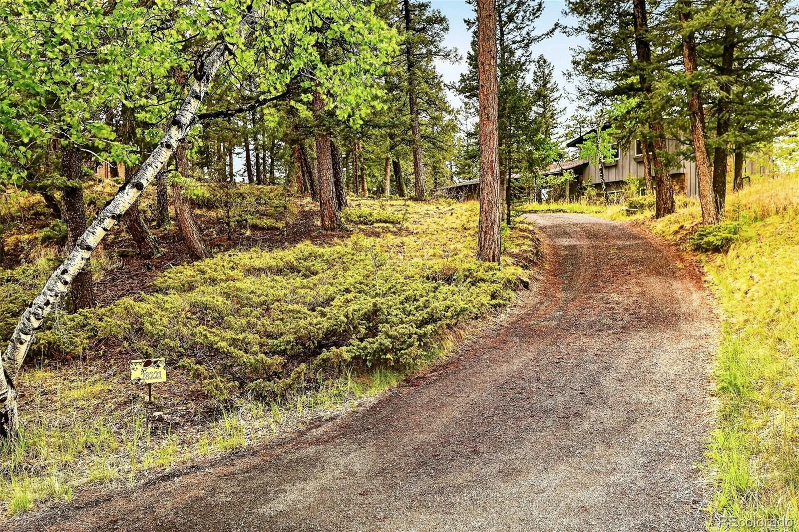 28221 Bonanza Drive Evergreen CO 80439 | MLS #REC5779295 05212026184517 1600 41