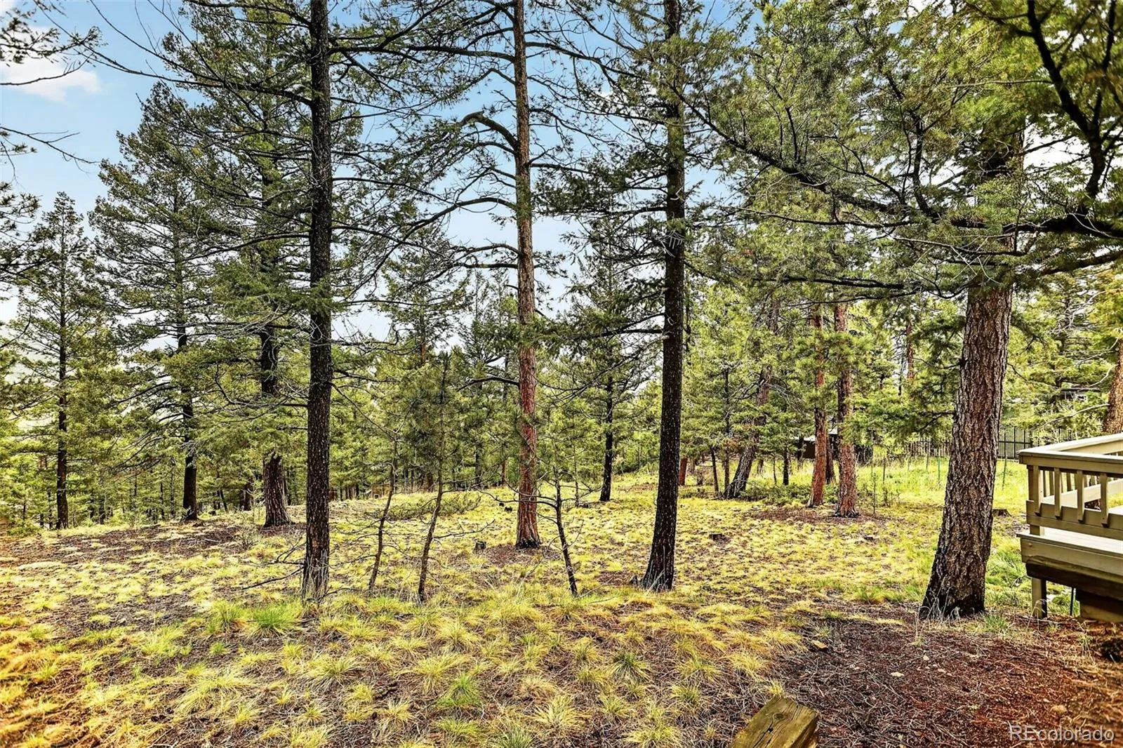 28221 Bonanza Drive Evergreen CO 80439 | MLS #REC5779295 05212026184517 1600 43