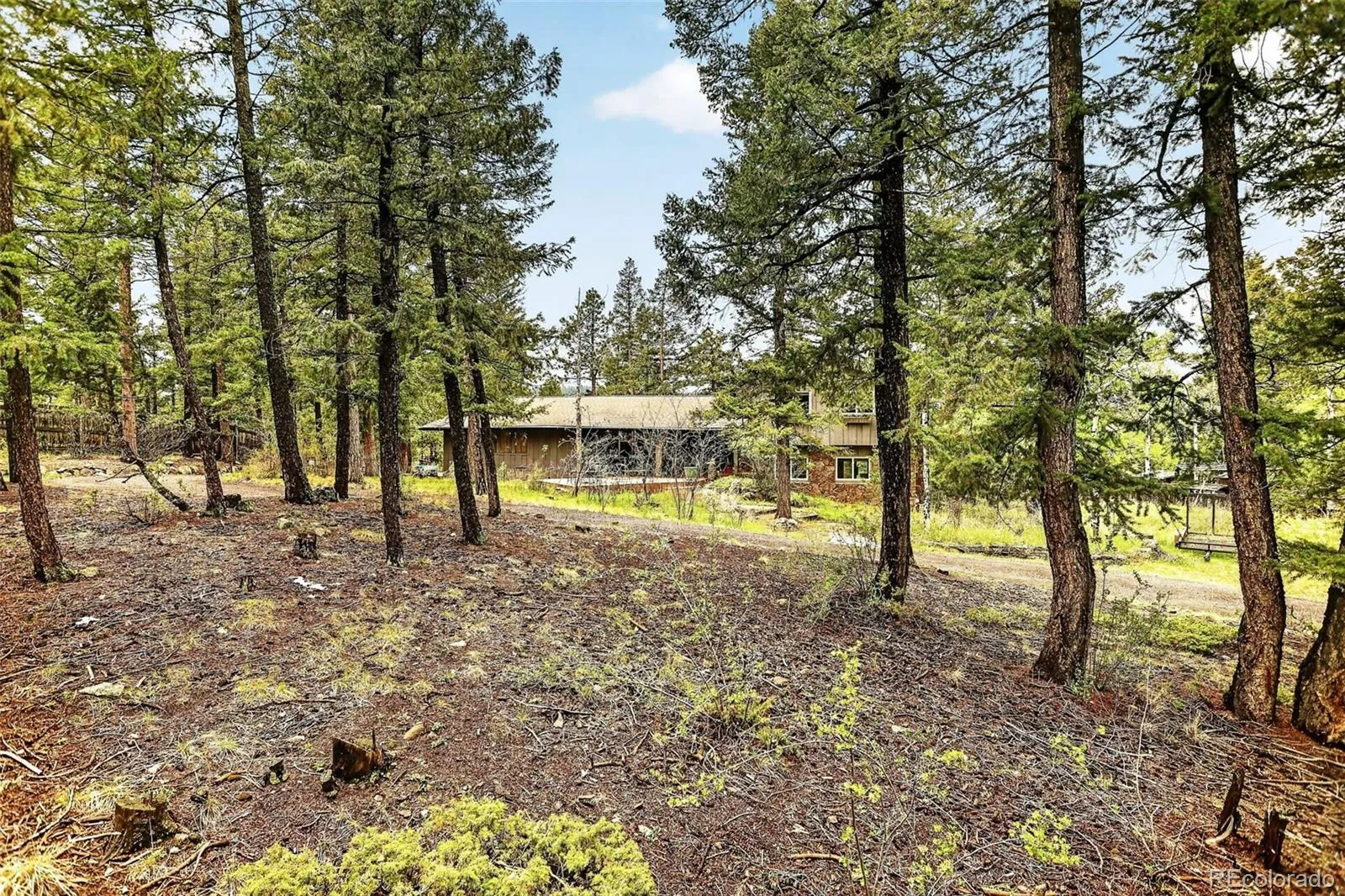 28221 Bonanza Drive Evergreen CO 80439 | MLS #REC5779295 05212026184517 1600 44