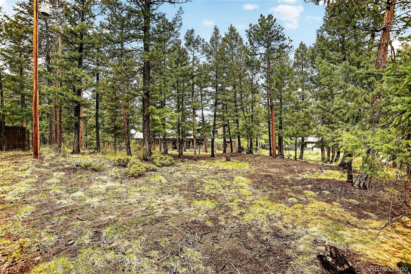 28221 Bonanza Drive Evergreen CO 80439 | MLS #REC5779295 05212026184517 1600 45