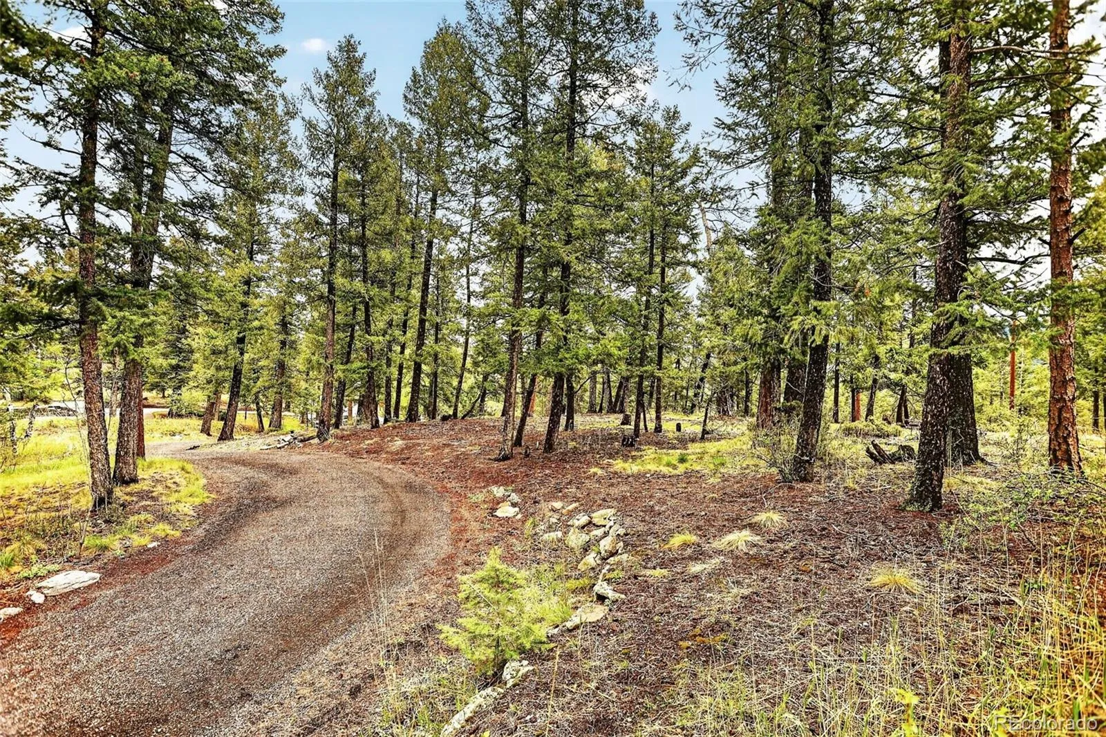 28221 Bonanza Drive Evergreen CO 80439 | MLS #REC5779295 05212026184517 1600 46