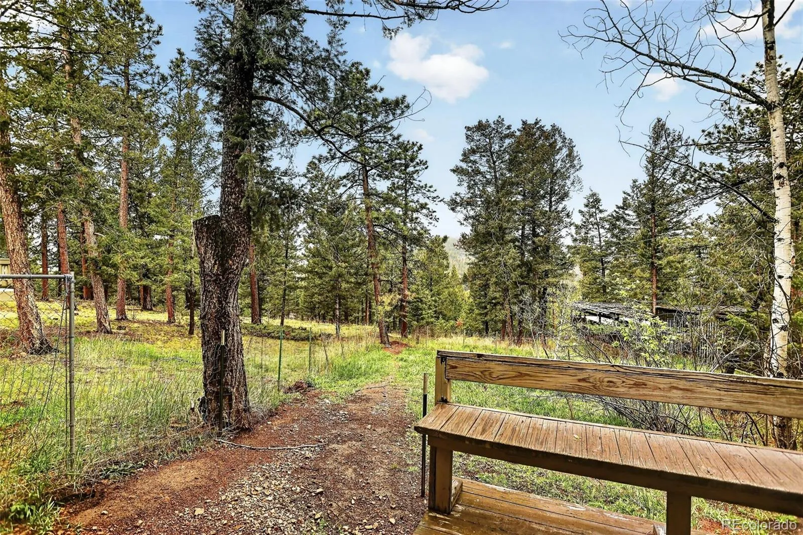 28221 Bonanza Drive Evergreen CO 80439 | MLS #REC5779295 05212026184517 1600 5