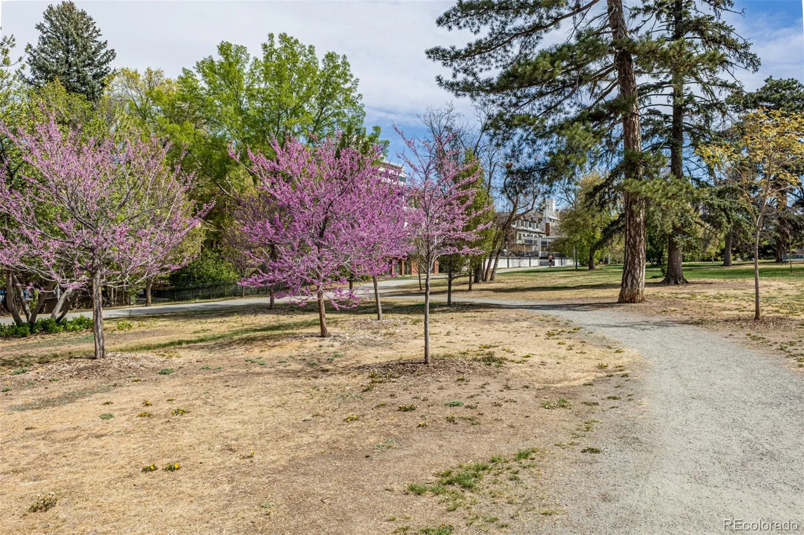 04092026235721 1600 23