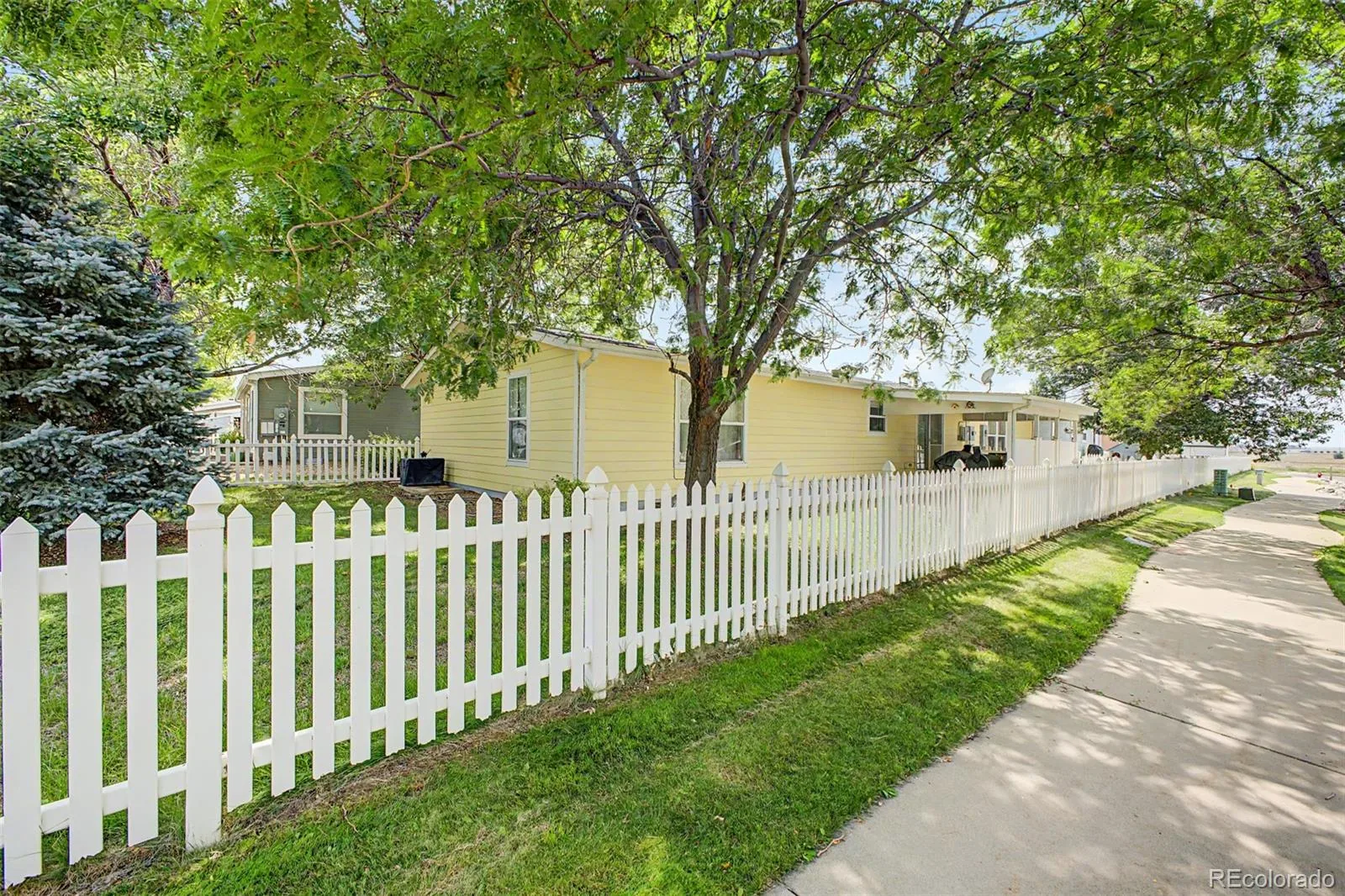 7735 Primrose Green #164 Frederick CO 80530 | MLS #REC5785354 08282026022643 1600 1