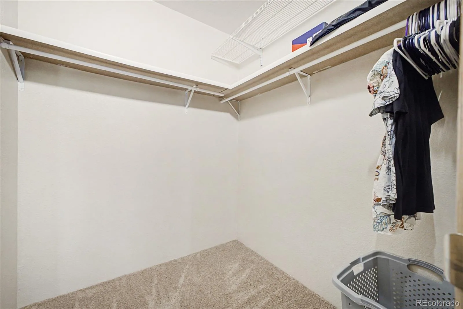 7735 Primrose Green #164 Frederick CO 80530 | MLS #REC5785354 08282026022643 1600 34
