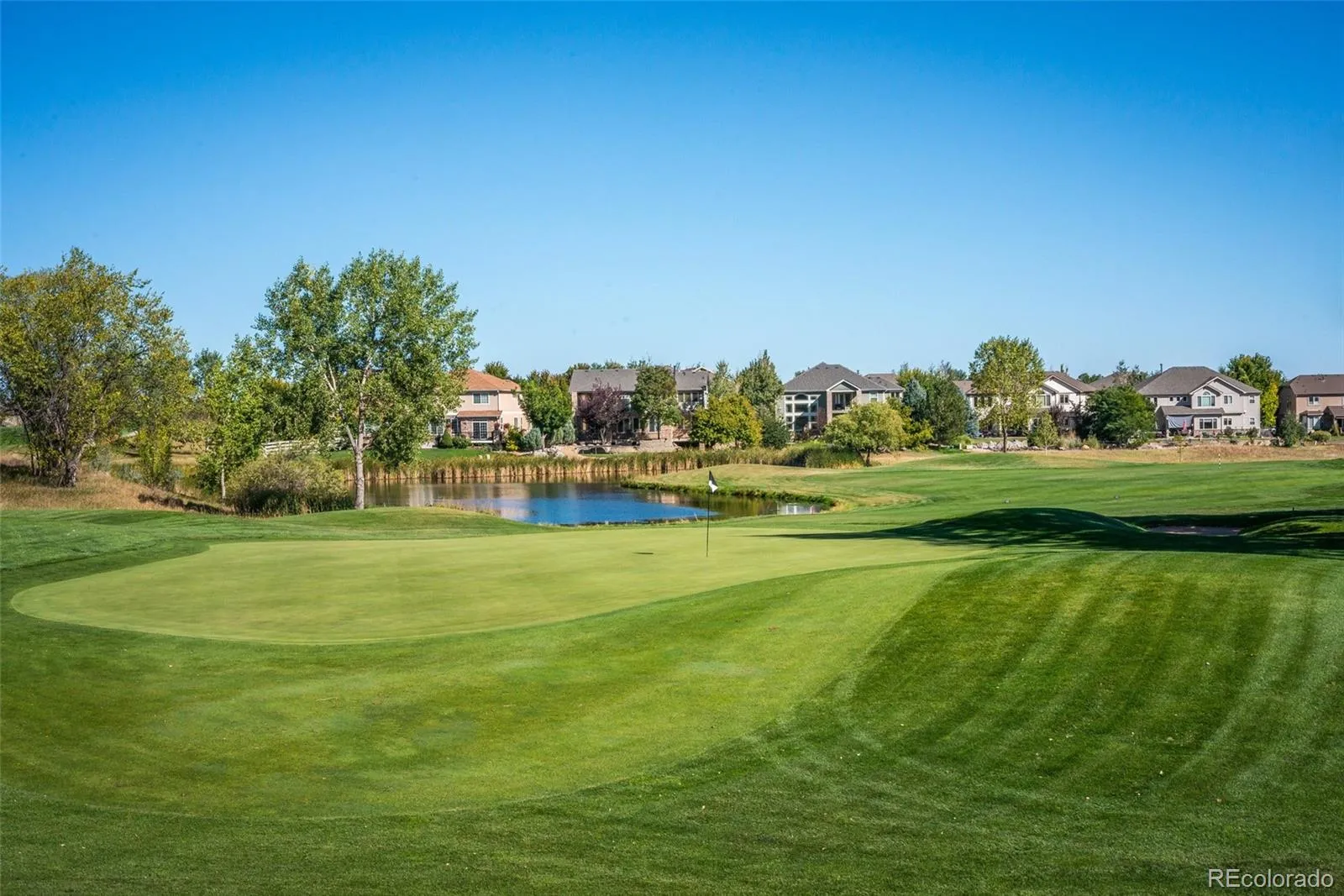 14152 Adam Court Broomfield CO 80023 MLS #REC5787143 05062026194521 1600 38