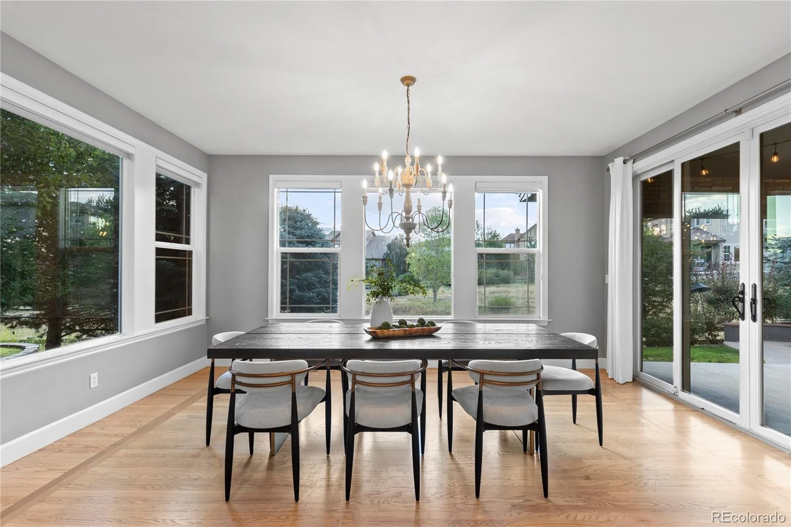 10482 Marigold Court Highlands Ranch CO 80126 | MLS #REC5799222 08212026214802 1600 12