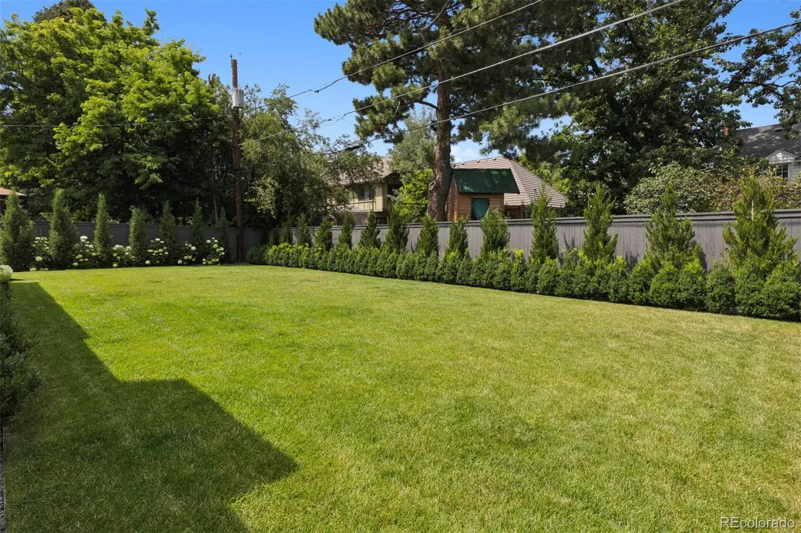 03022026162520 1600 37