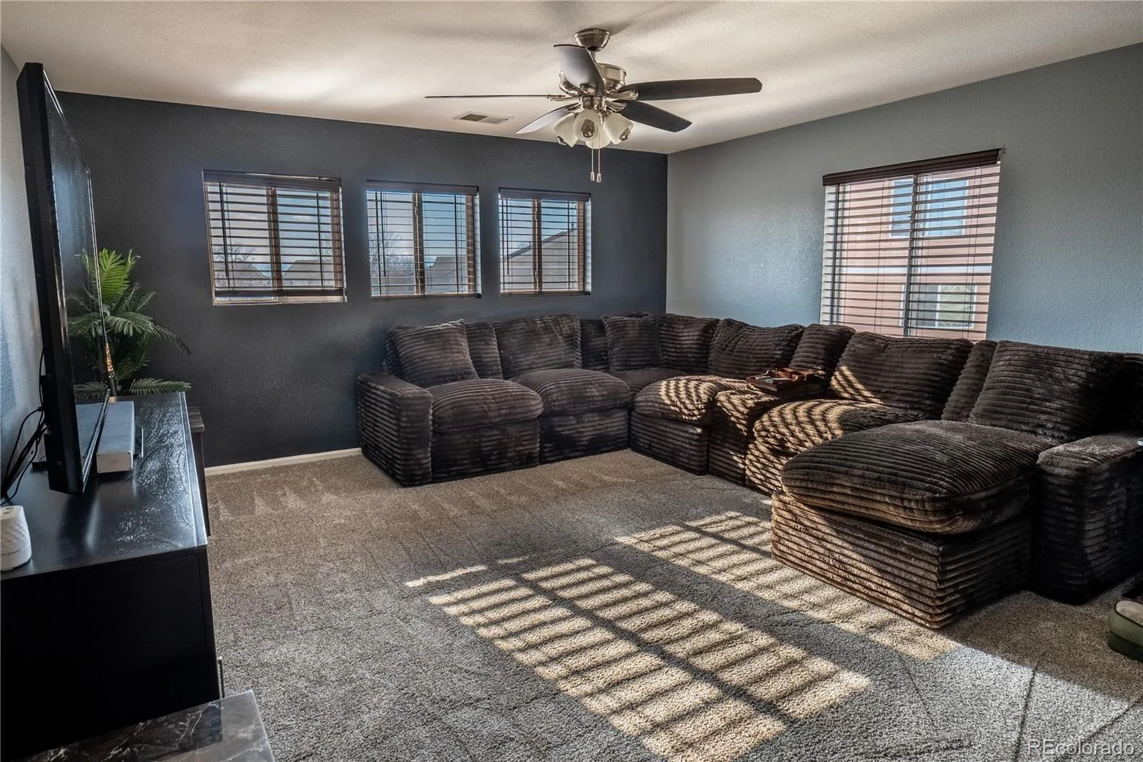 5188 Netherland Street Denver CO 80249 MLS #REC5799699 06102026161641 1600 19