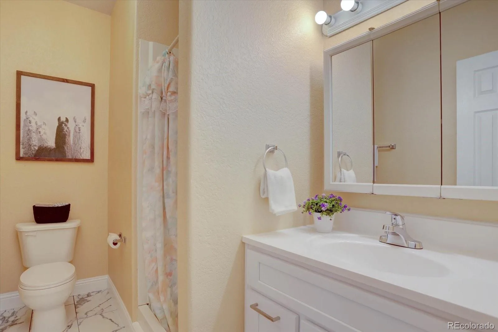 2522 Atchison Street Aurora CO 80011 | MLS #REC5805242 09242026053603 1600 15