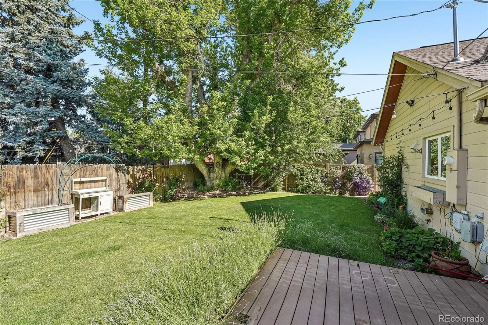 117 Magnolia Street Denver CO 80220 MLS #REC5812228 06172026162903 1600 34
