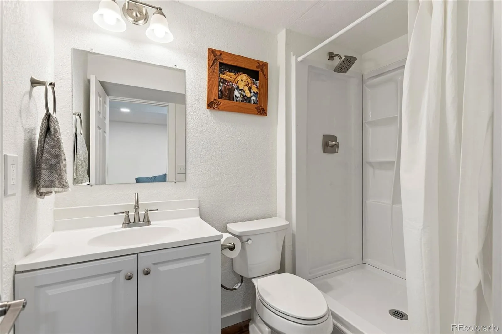 9895 Aftonwood Street Highlands Ranch CO 80126 | MLS #REC5822979 07132026153735 1600 29