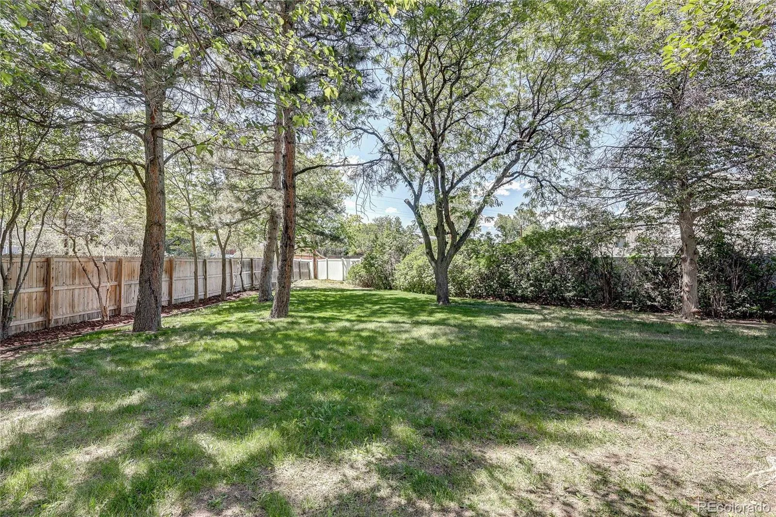811 S Newcombe Way Lakewood CO 80226 MLS #REC5824160 06192026232723 1600 39