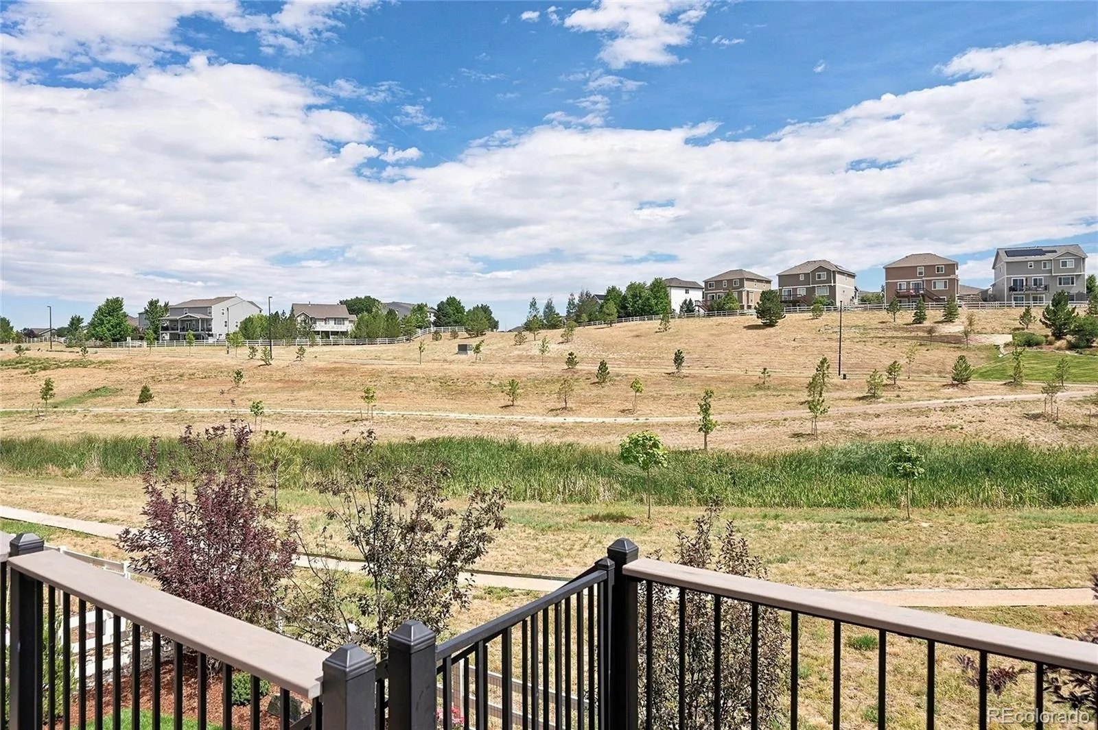5462 Gray Wolf Lane Castle Rock CO 80104 | MLS #REC5830698 08302026173633 1600 36