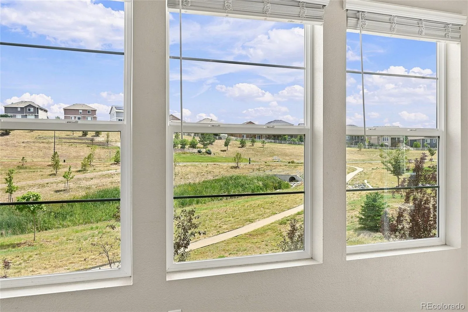 5462 Gray Wolf Lane Castle Rock CO 80104 | MLS #REC5830698 08302026173633 1600 9