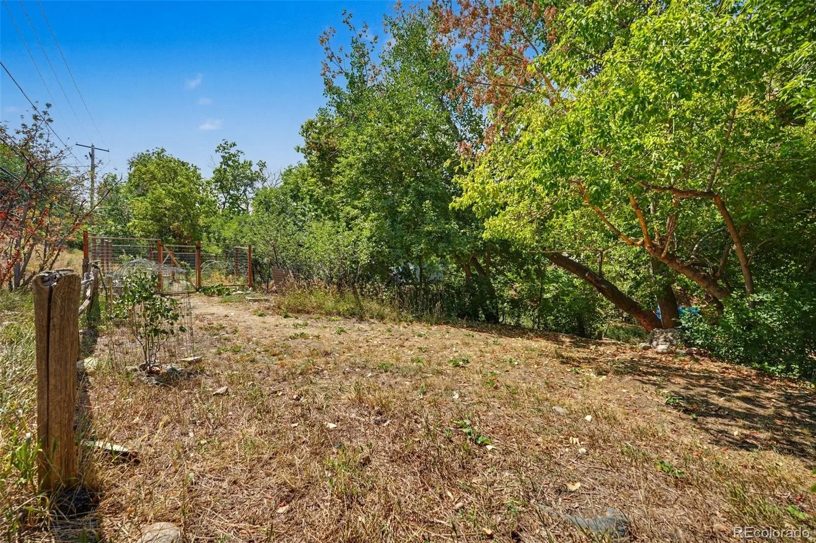 309 Arapahoe Street #1/2 Golden CO 80403 | MLS #REC5842328 08142026235340 1600 25