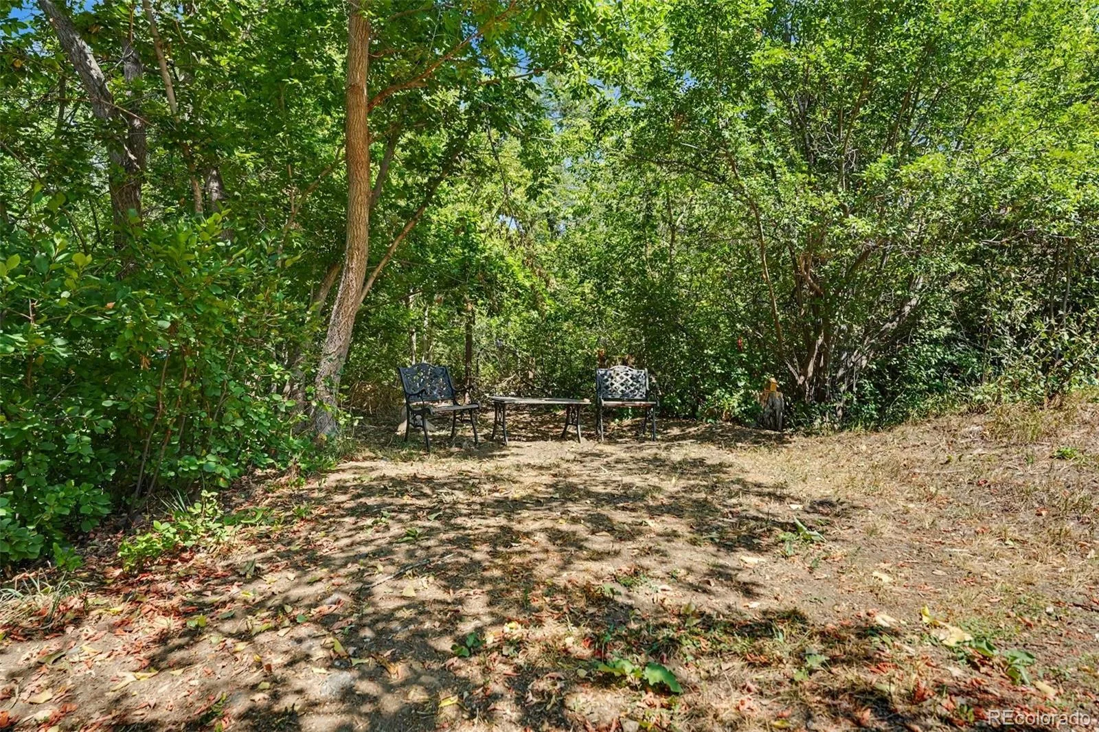 309 Arapahoe Street #1/2 Golden CO 80403 | MLS #REC5842328 08142026235340 1600 26