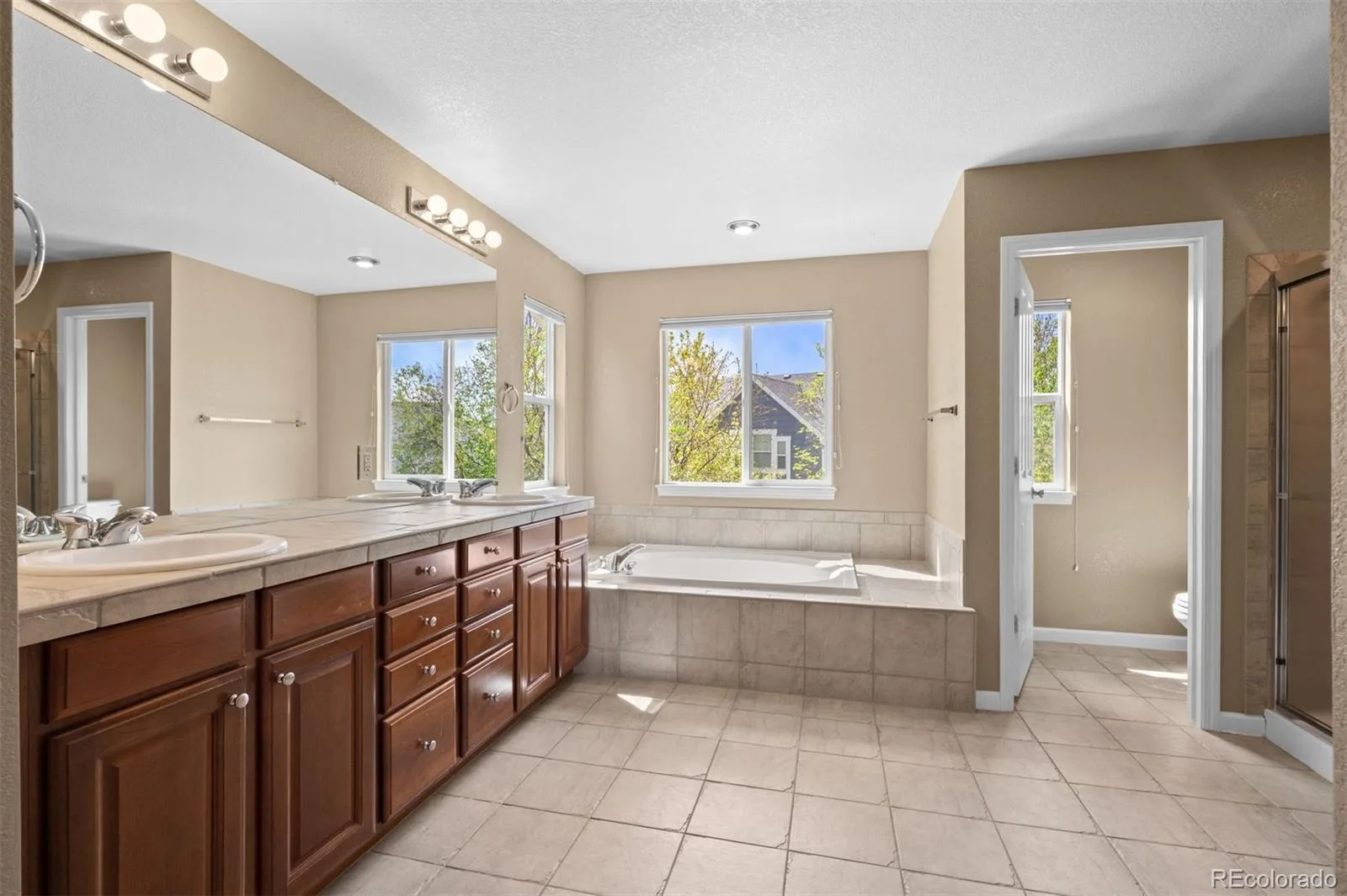 12009 Pine Top Street Parker CO 80138 | MLS #REC5846375 07092026004555 1600 20