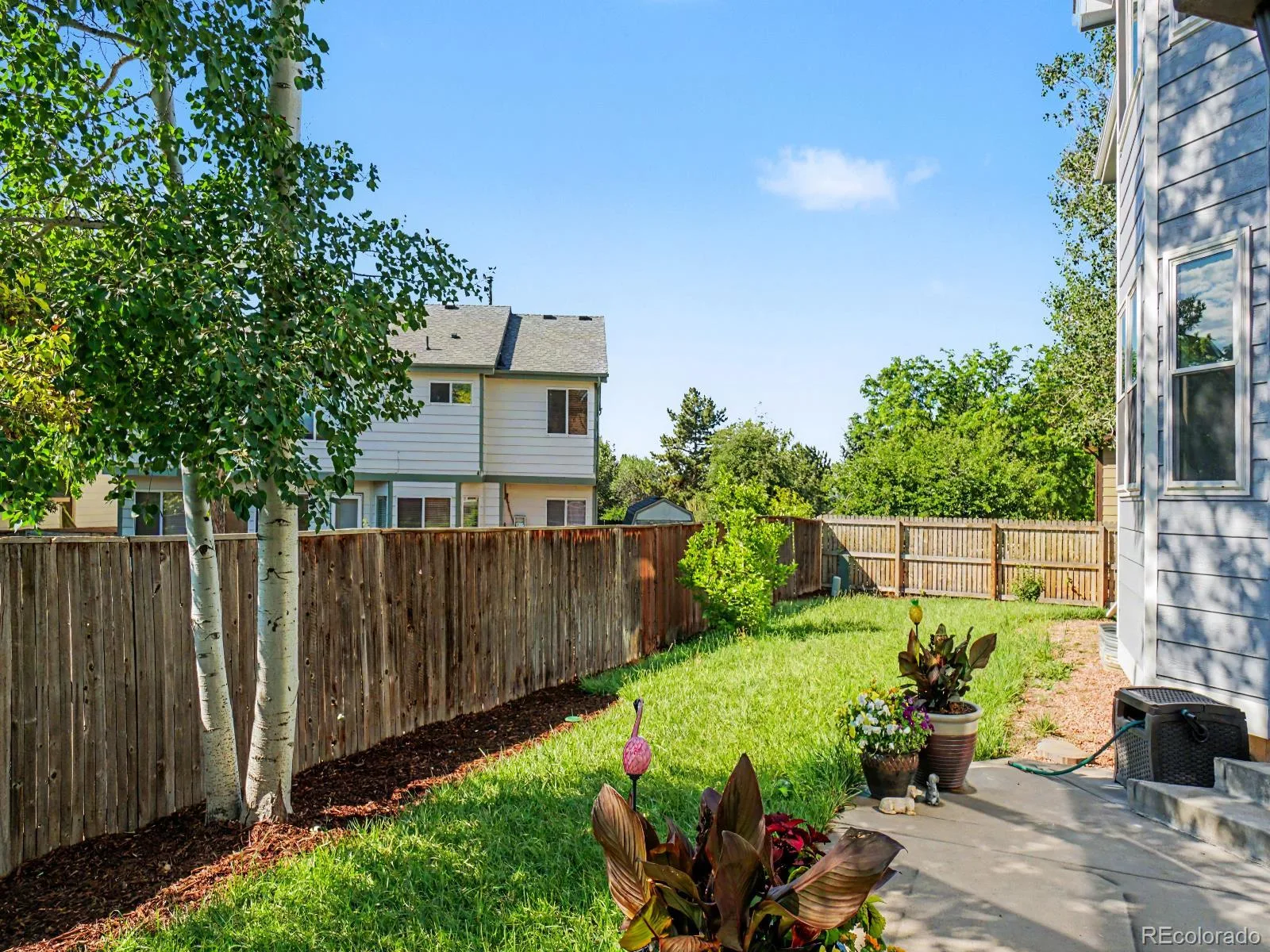 1250 Snowberry Lane Broomfield CO 80020 MLS #REC5846669 06302026235549 1600 47