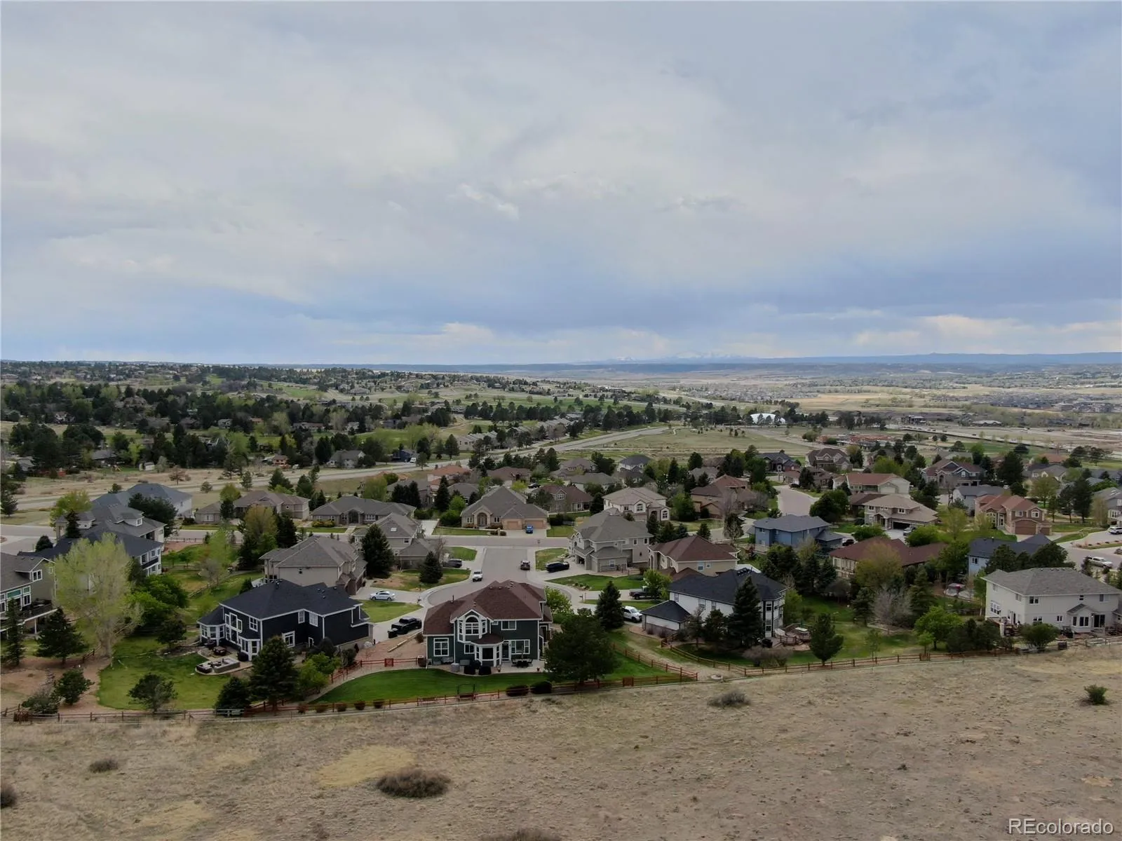 6977 Chestnut Court Parker CO 80134 MLS #REC5847684 05102026041831 1600 38