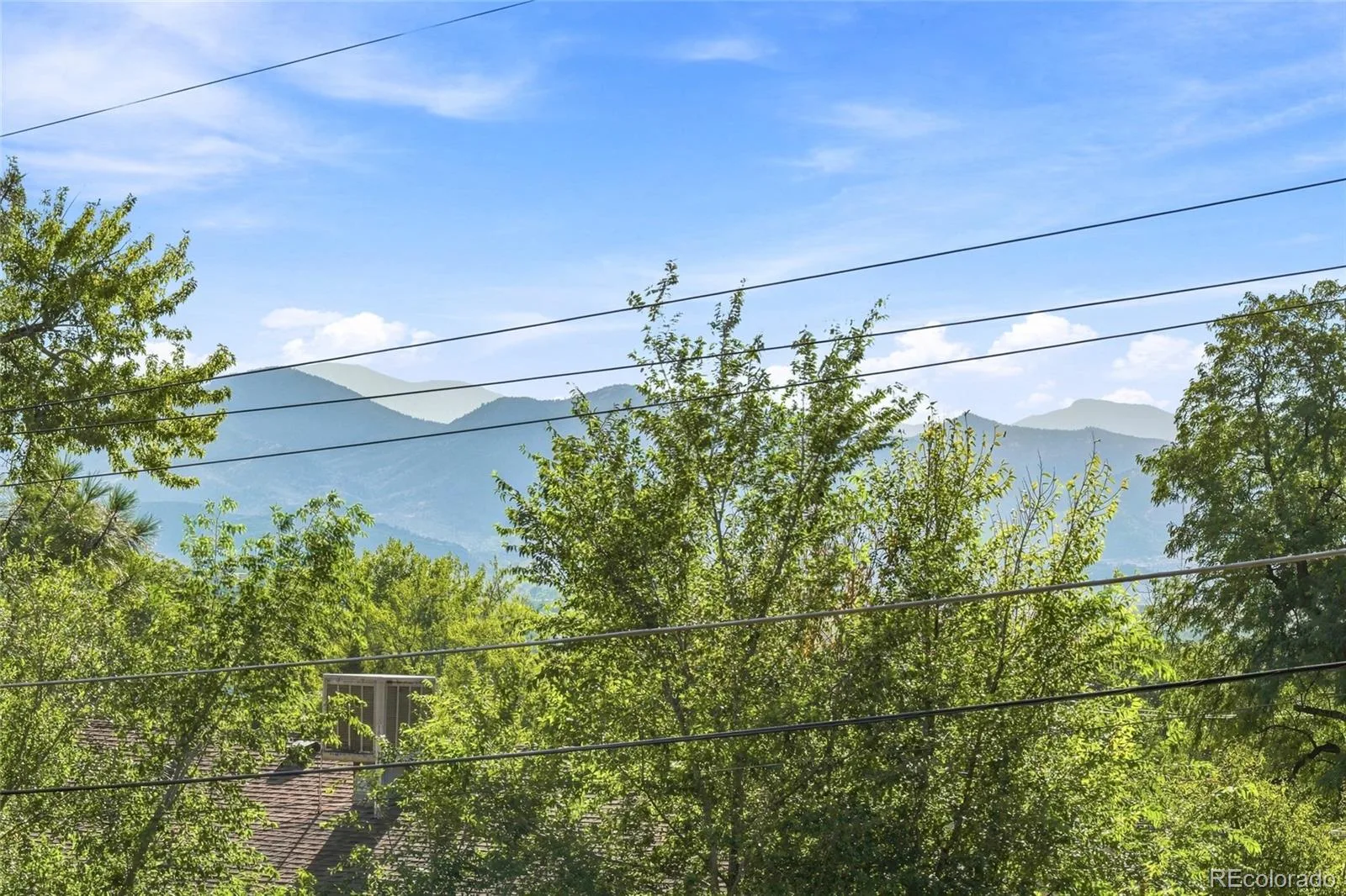 2787 S Meade Street Denver CO 80236 | MLS #REC5848697 09232026212438 1600 15