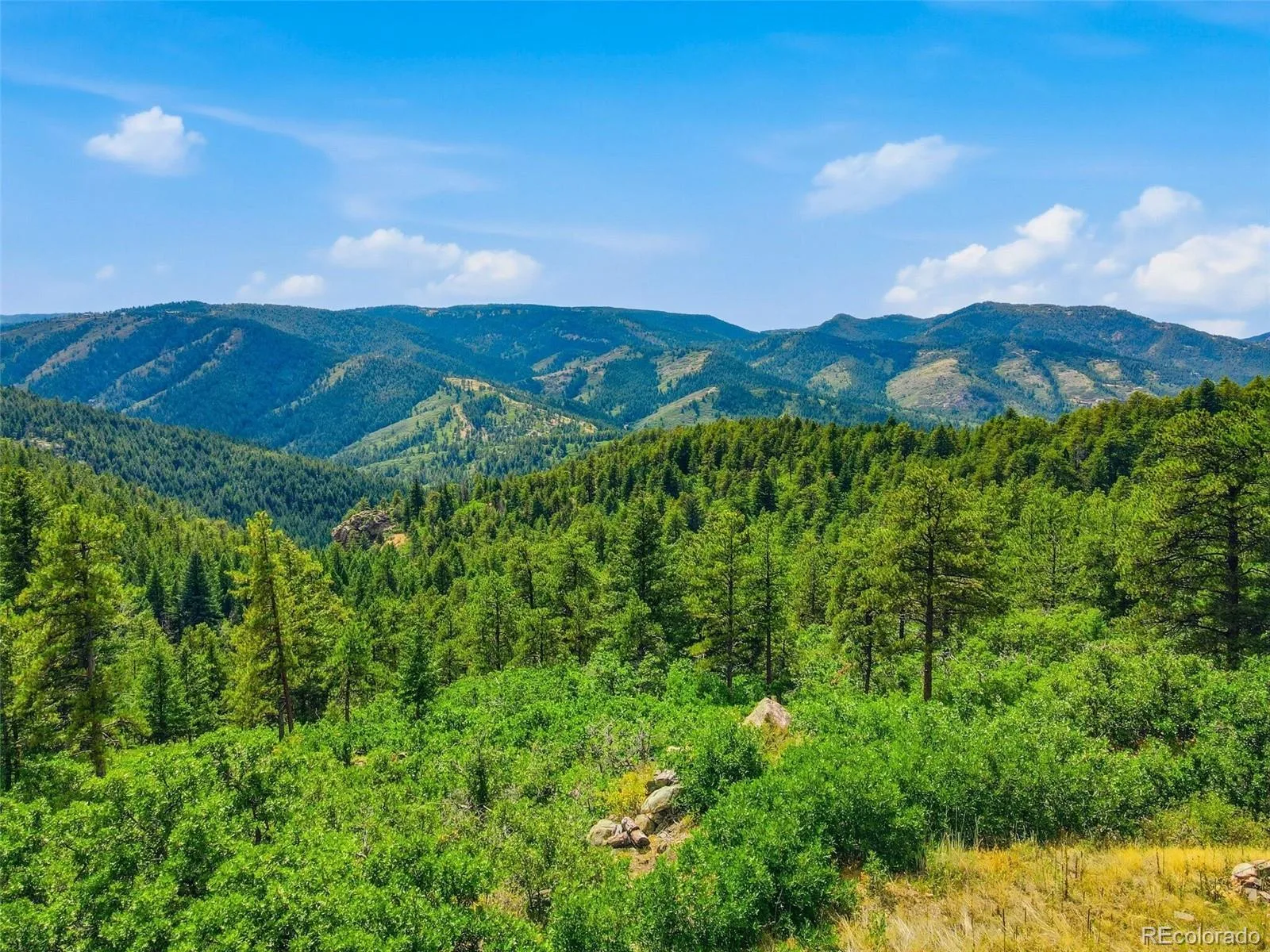 15441 W Sampson Road Littleton CO 80127 | MLS #REC5851268 08262026233623 1600 32