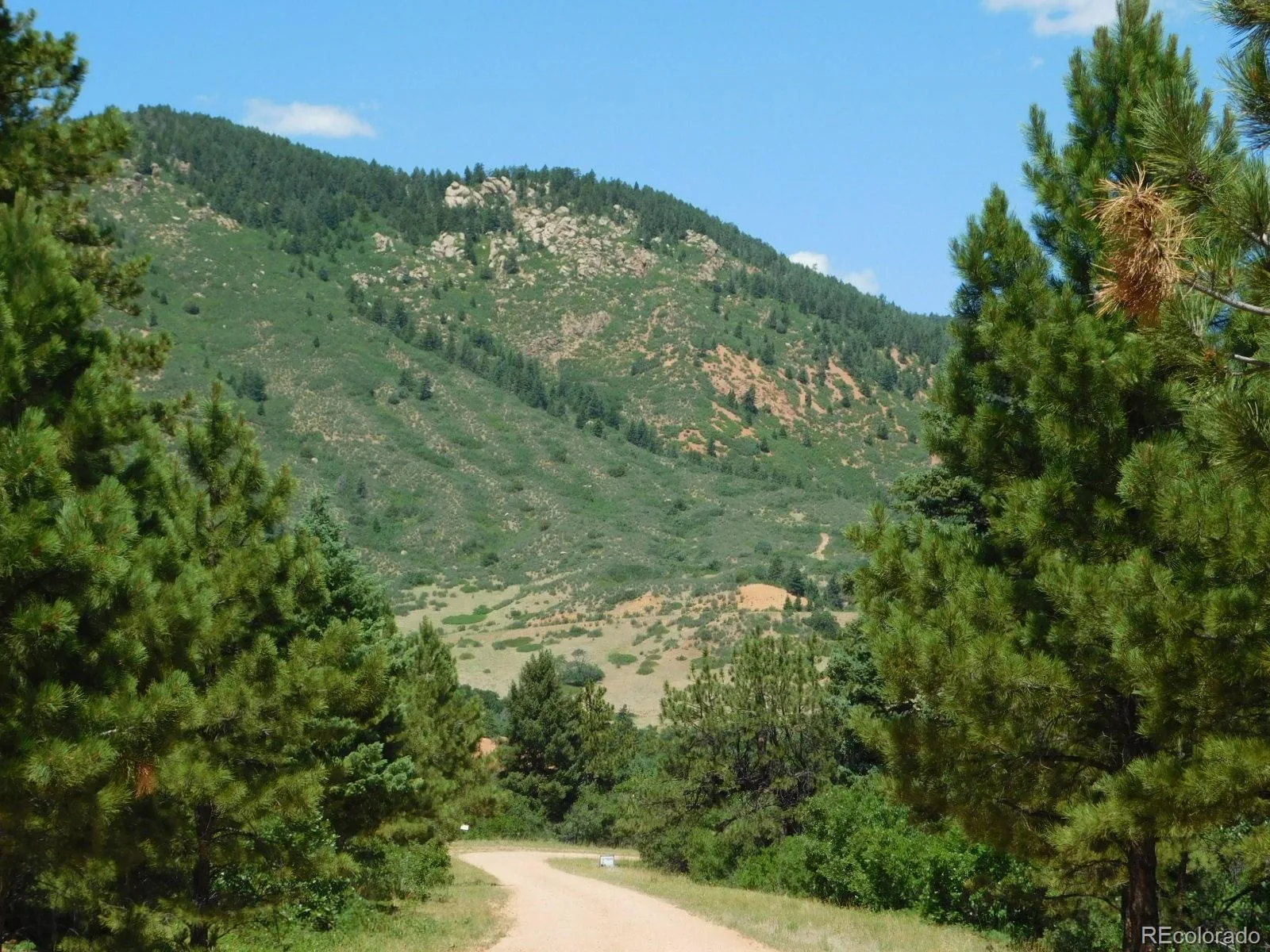 6447 Thunderbird Road Larkspur CO 80118 | MLS #REC5852675 07042026171208 1600 1