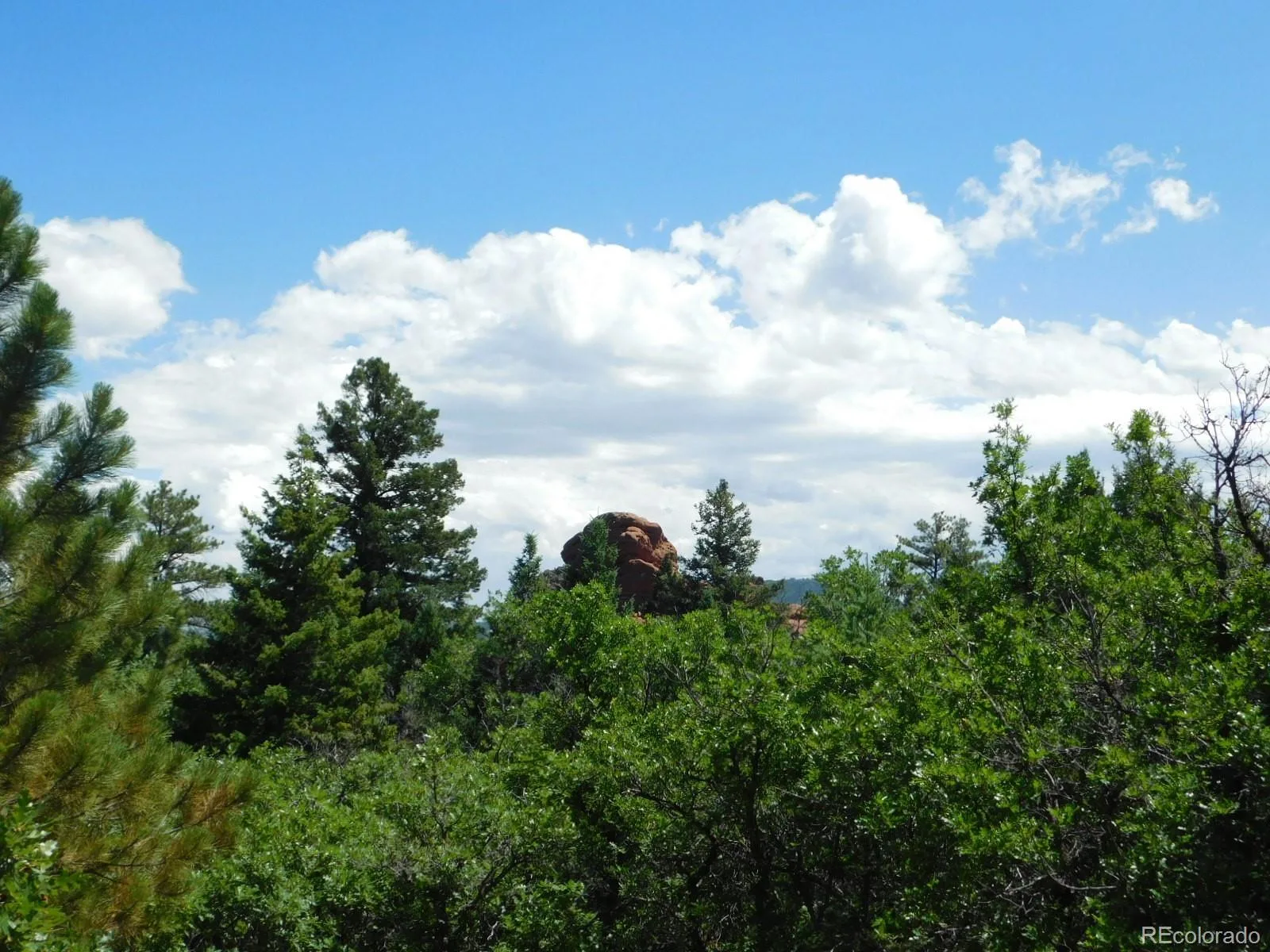 6447 Thunderbird Road Larkspur CO 80118 | MLS #REC5852675 07042026171208 1600 14