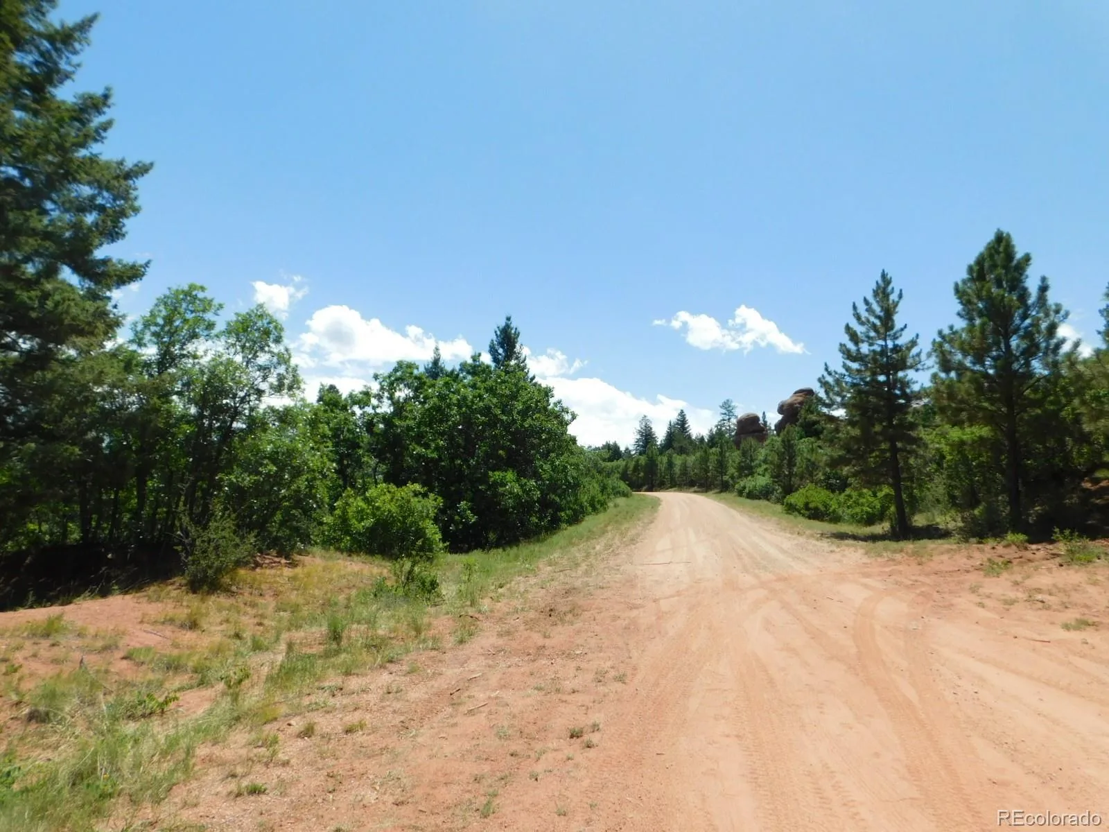 6447 Thunderbird Road Larkspur CO 80118 | MLS #REC5852675 07042026171208 1600 16