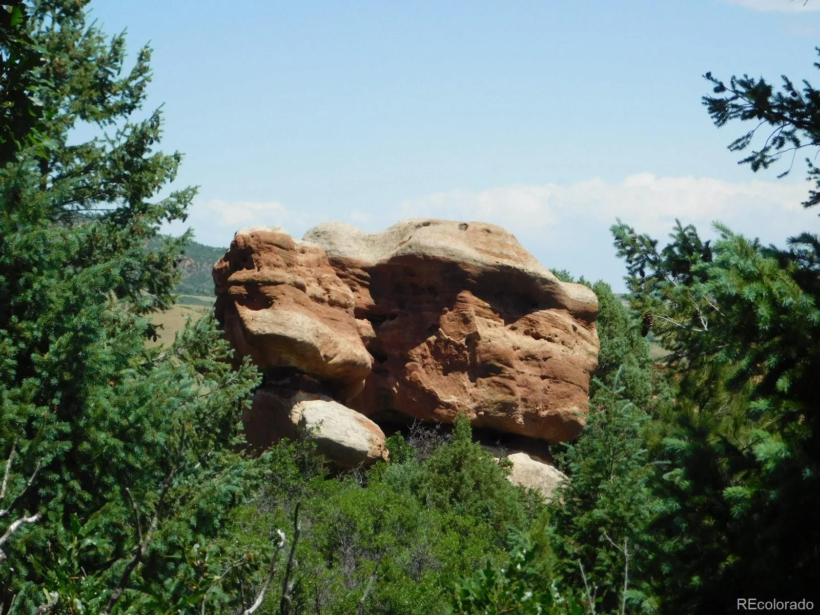 6447 Thunderbird Road Larkspur CO 80118 | MLS #REC5852675 07042026171208 1600 20