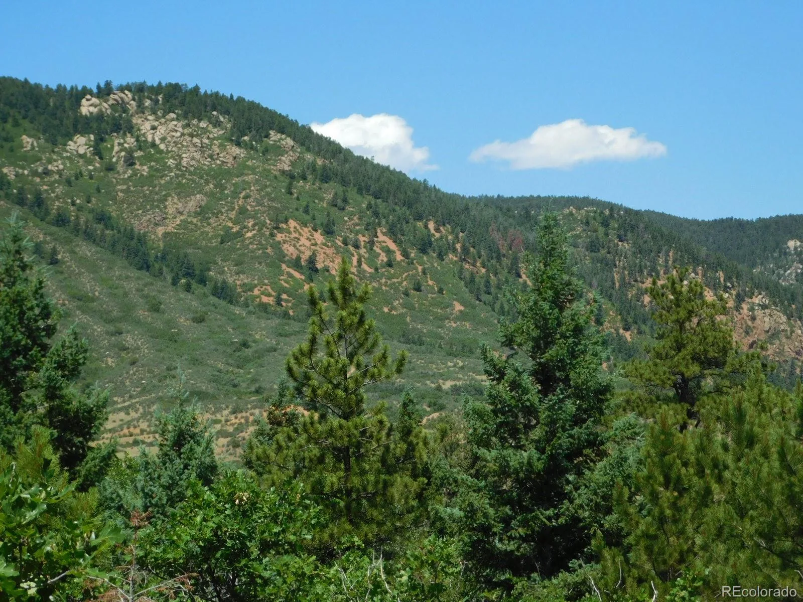 6447 Thunderbird Road Larkspur CO 80118 | MLS #REC5852675 07042026171208 1600 21