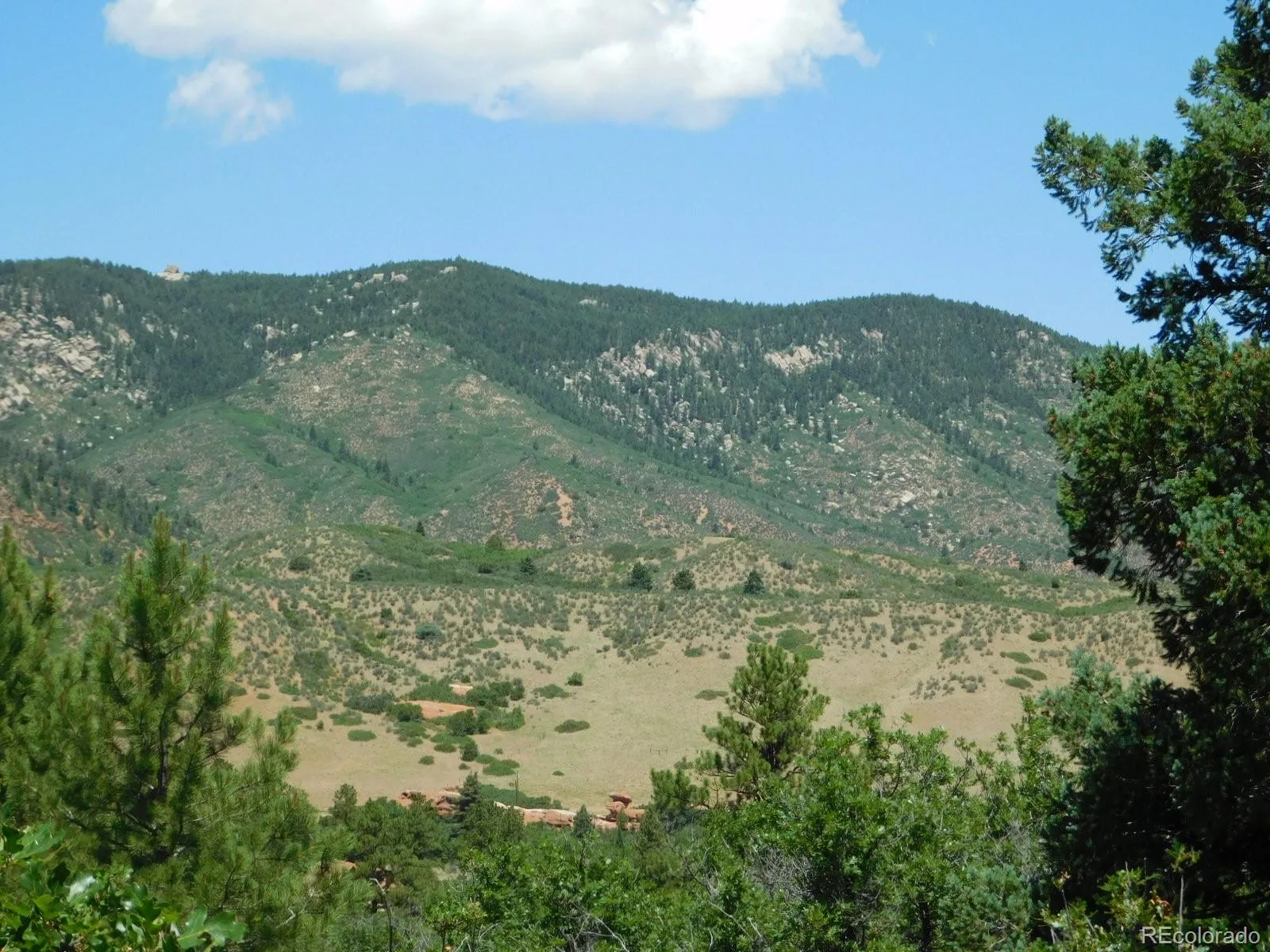 6447 Thunderbird Road Larkspur CO 80118 | MLS #REC5852675 07042026171208 1600 22