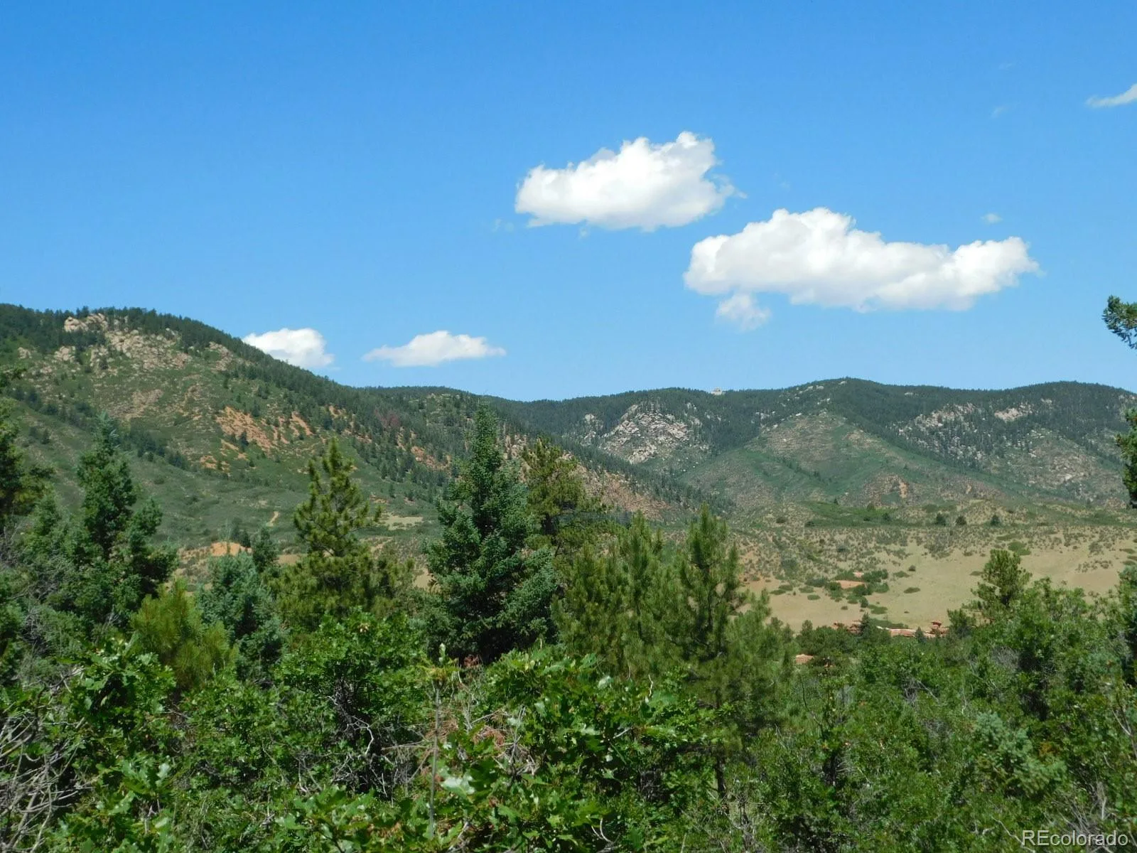 6447 Thunderbird Road Larkspur CO 80118 | MLS #REC5852675 07042026171208 1600 23
