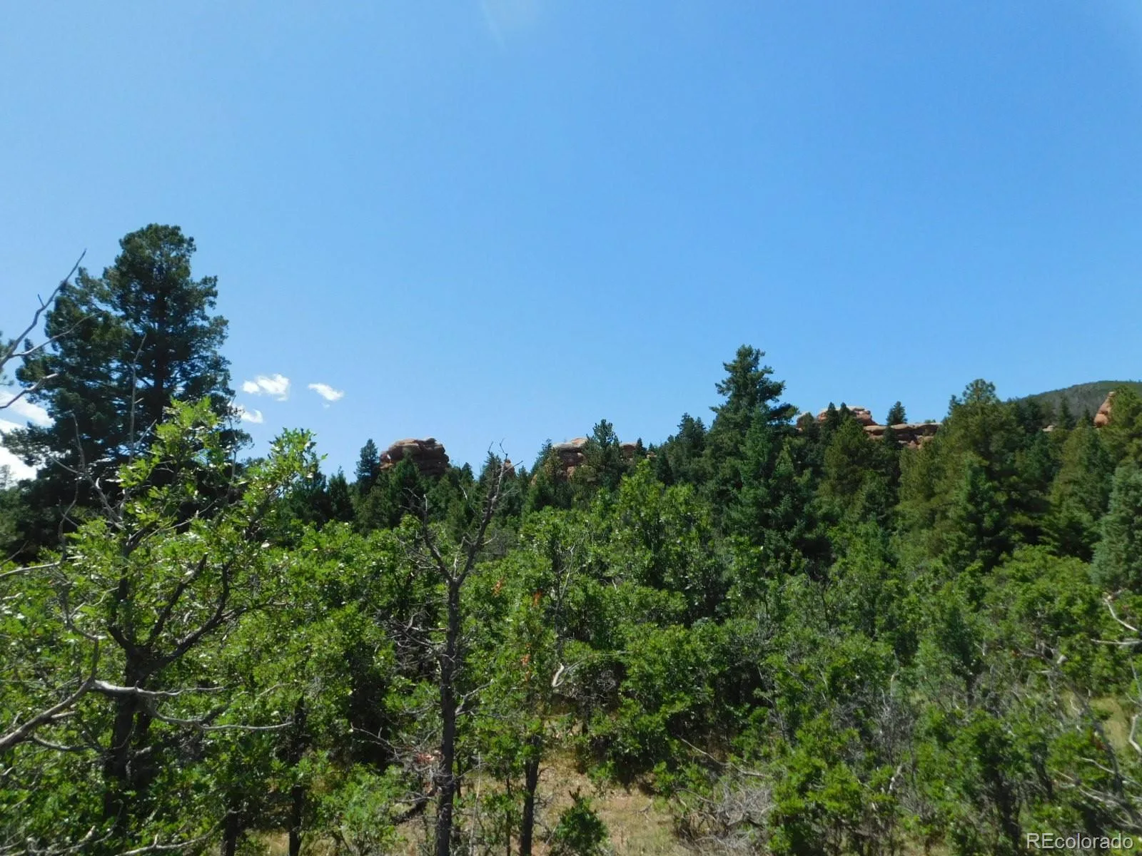 6447 Thunderbird Road Larkspur CO 80118 | MLS #REC5852675 07042026171208 1600 29