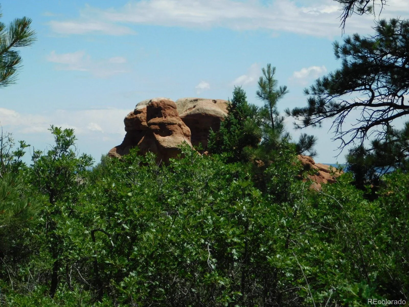 6447 Thunderbird Road Larkspur CO 80118 | MLS #REC5852675 07042026171208 1600 36
