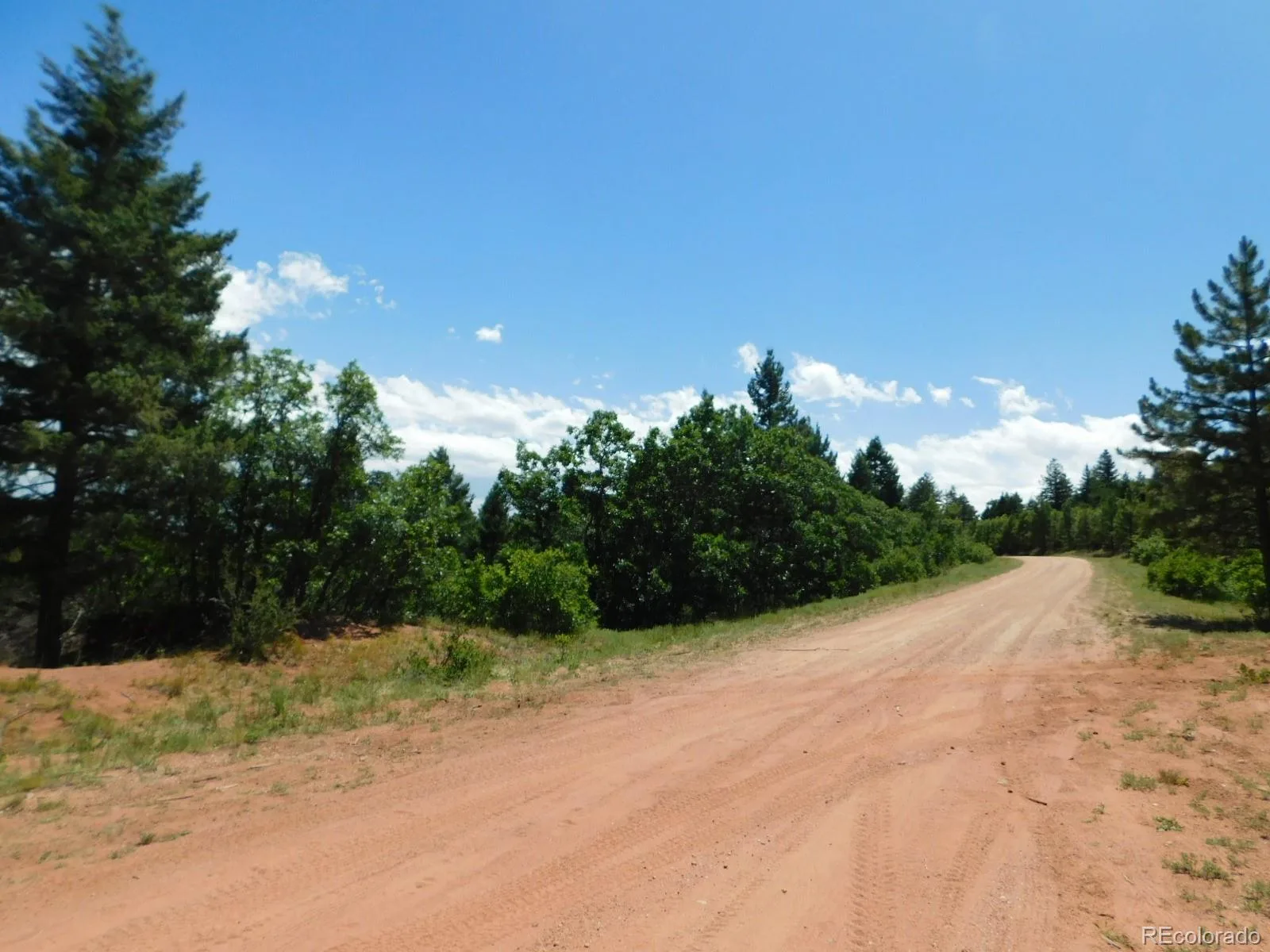 6447 Thunderbird Road Larkspur CO 80118 | MLS #REC5852675 07042026171208 1600 4