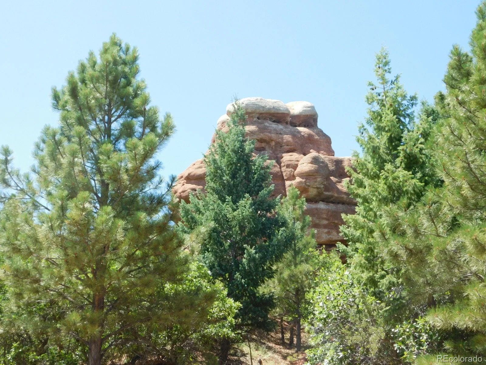 6447 Thunderbird Road Larkspur CO 80118 | MLS #REC5852675 07042026171208 1600 41