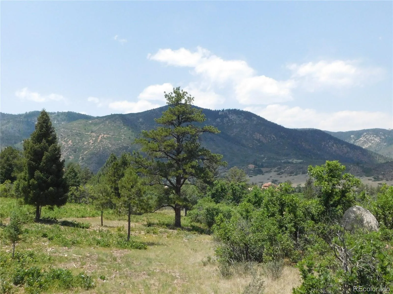 6447 Thunderbird Road Larkspur CO 80118 | MLS #REC5852675 07042026171208 1600 43