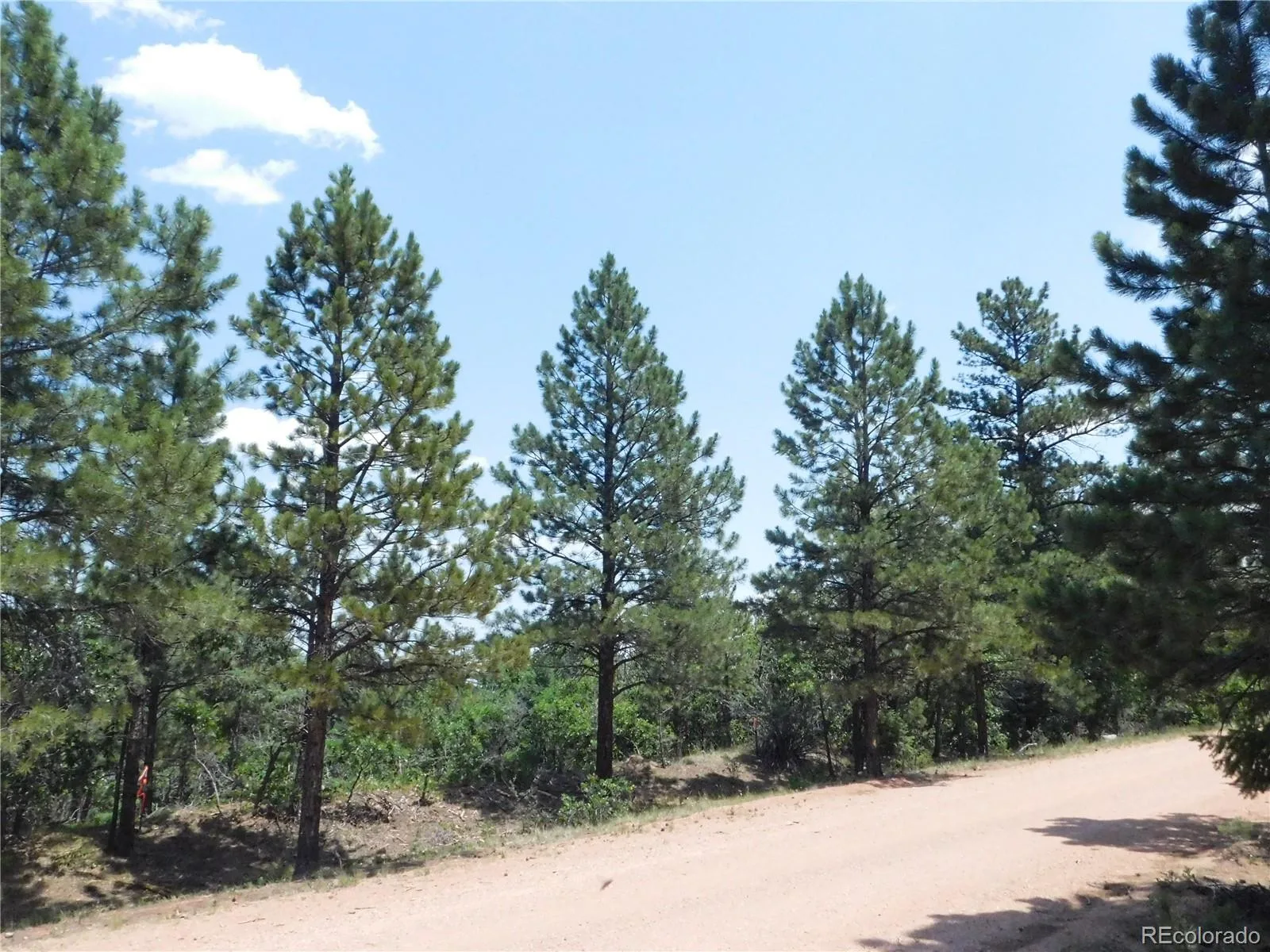 6447 Thunderbird Road Larkspur CO 80118 | MLS #REC5852675 07042026171208 1600 48