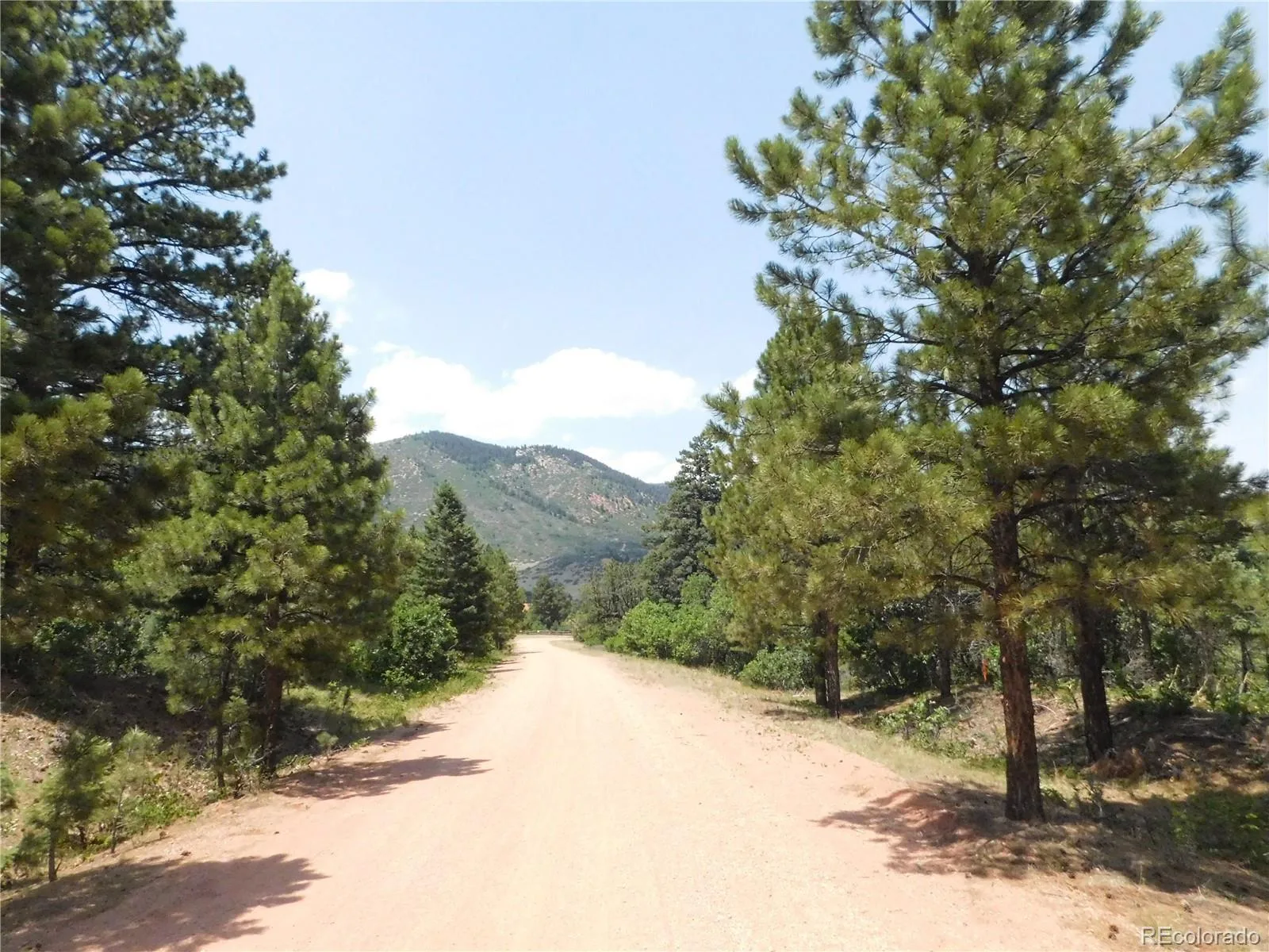 6447 Thunderbird Road Larkspur CO 80118 | MLS #REC5852675 07042026171208 1600 49