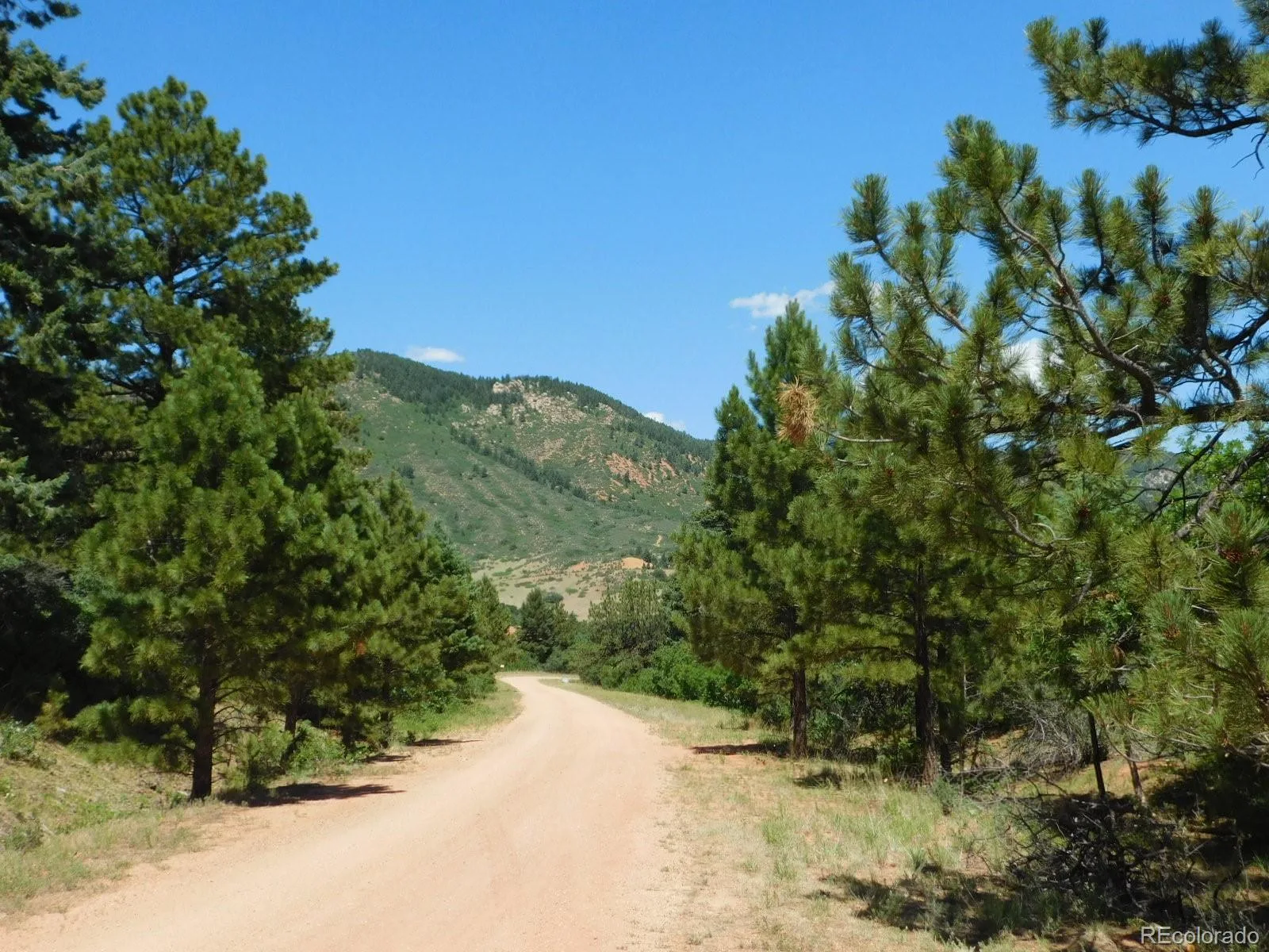6447 Thunderbird Road Larkspur CO 80118 | MLS #REC5852675 07042026171208 1600 8