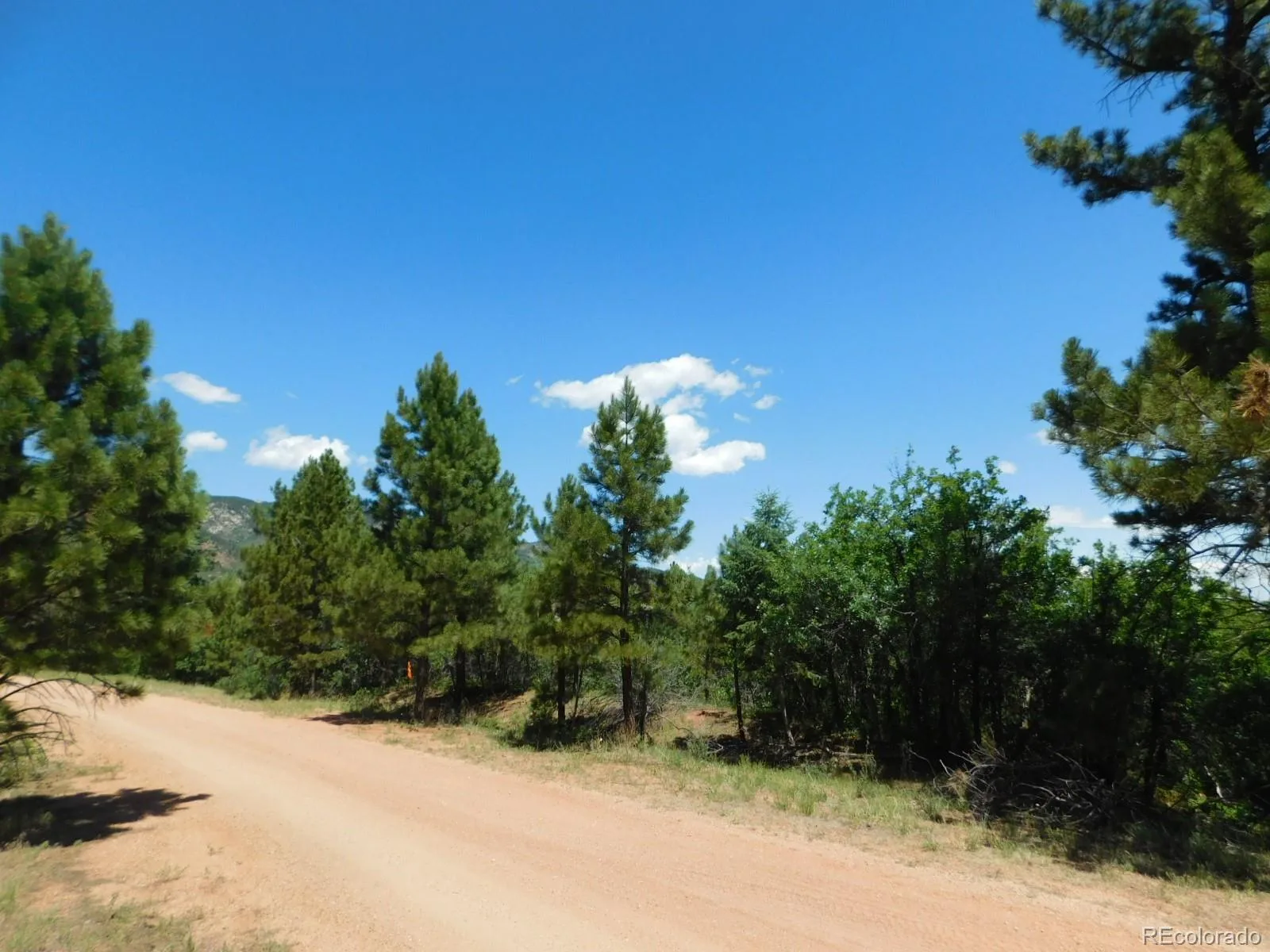 6447 Thunderbird Road Larkspur CO 80118 | MLS #REC5852675 07042026171208 1600 9