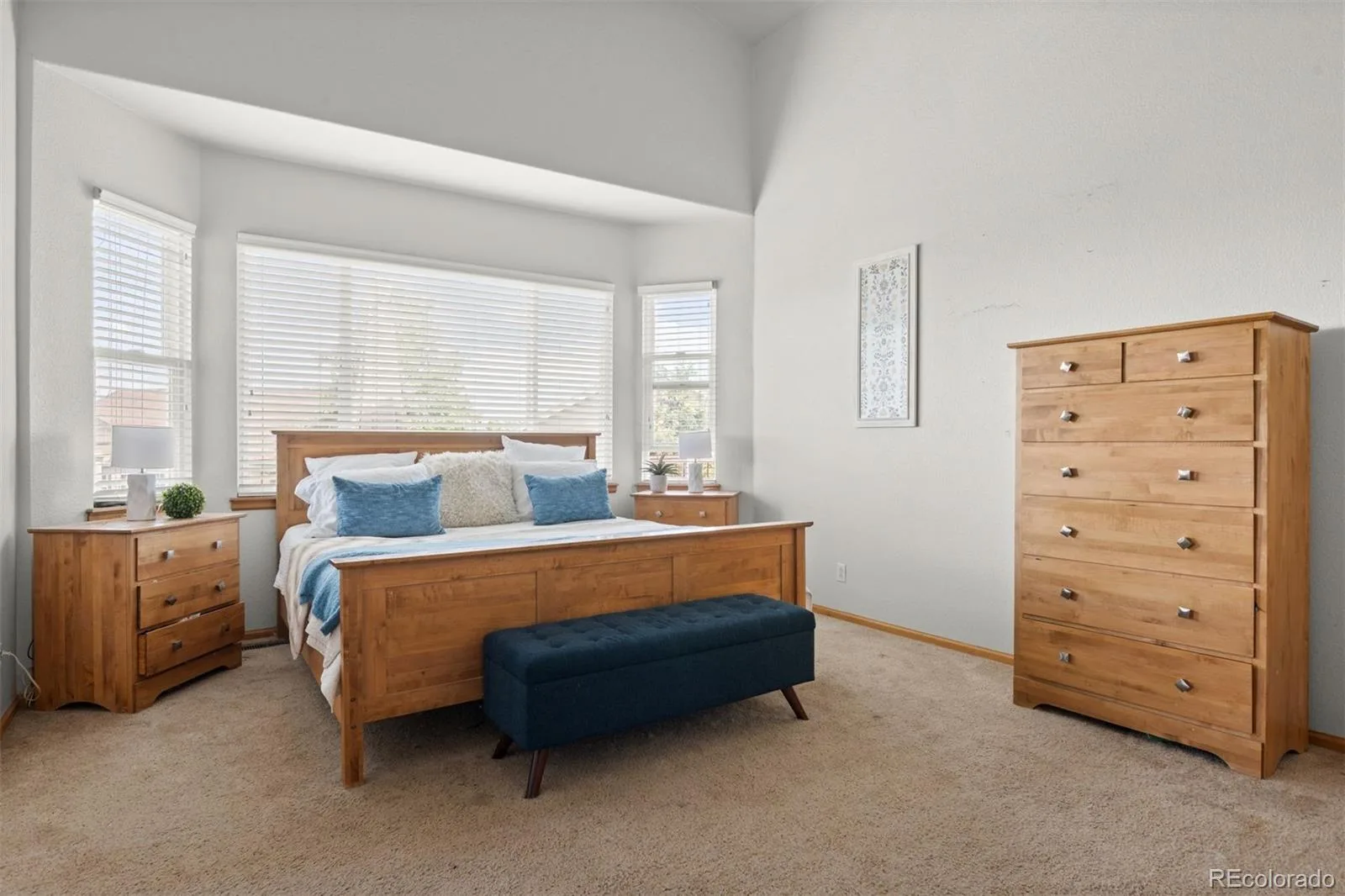 6839 Solana Drive Castle Pines CO 80108 MLS #REC5872735 08042026193339 1600 17