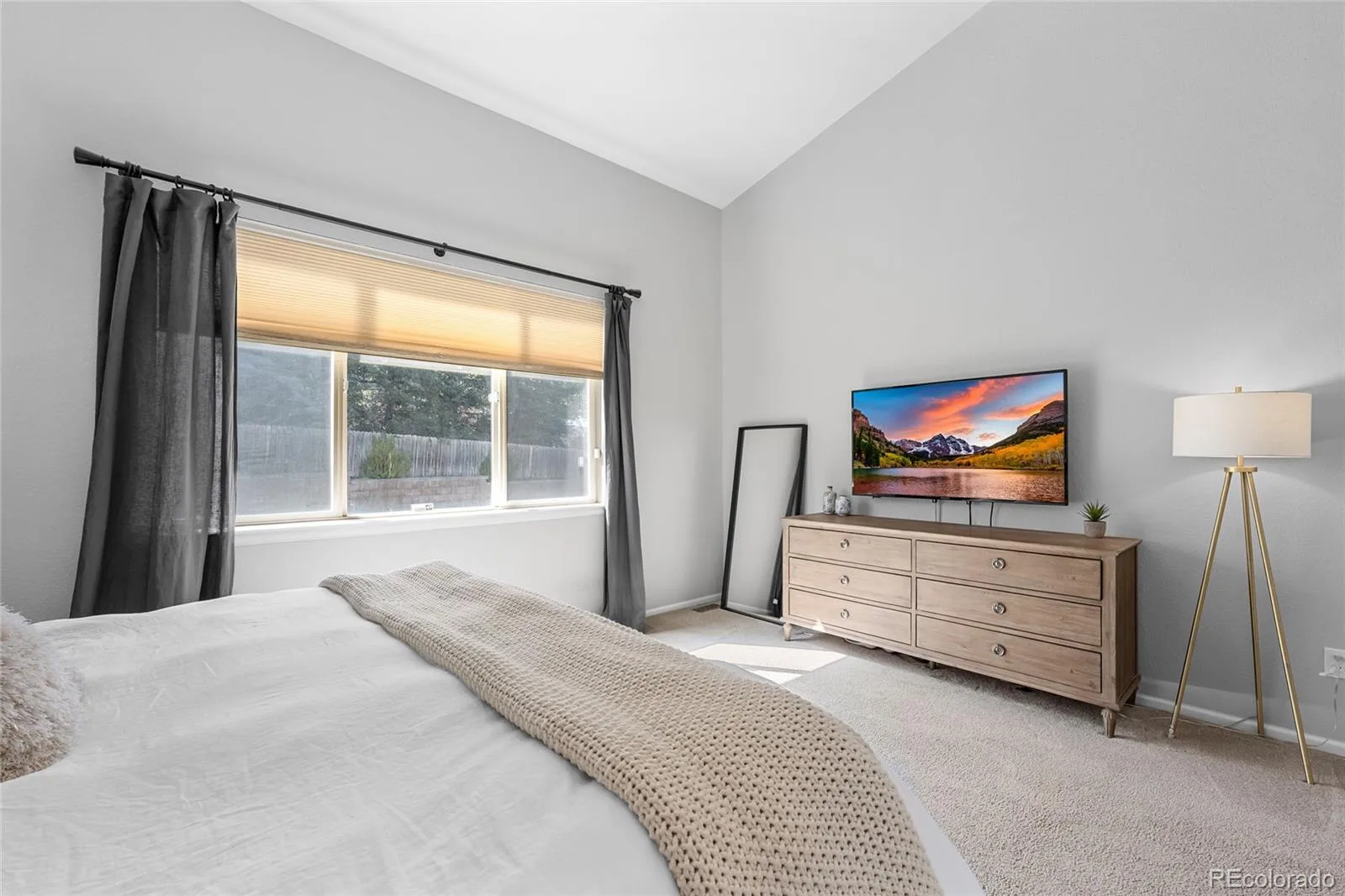 1002 Halfmoon Drive Castle Rock CO 80104 | MLS #REC5876906 07212026195506 1600 16