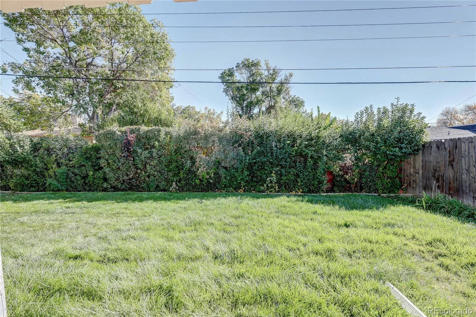 1140 S Gray Street Lakewood CO 80232 | MLS #REC5881299 10112026145041 1600 27