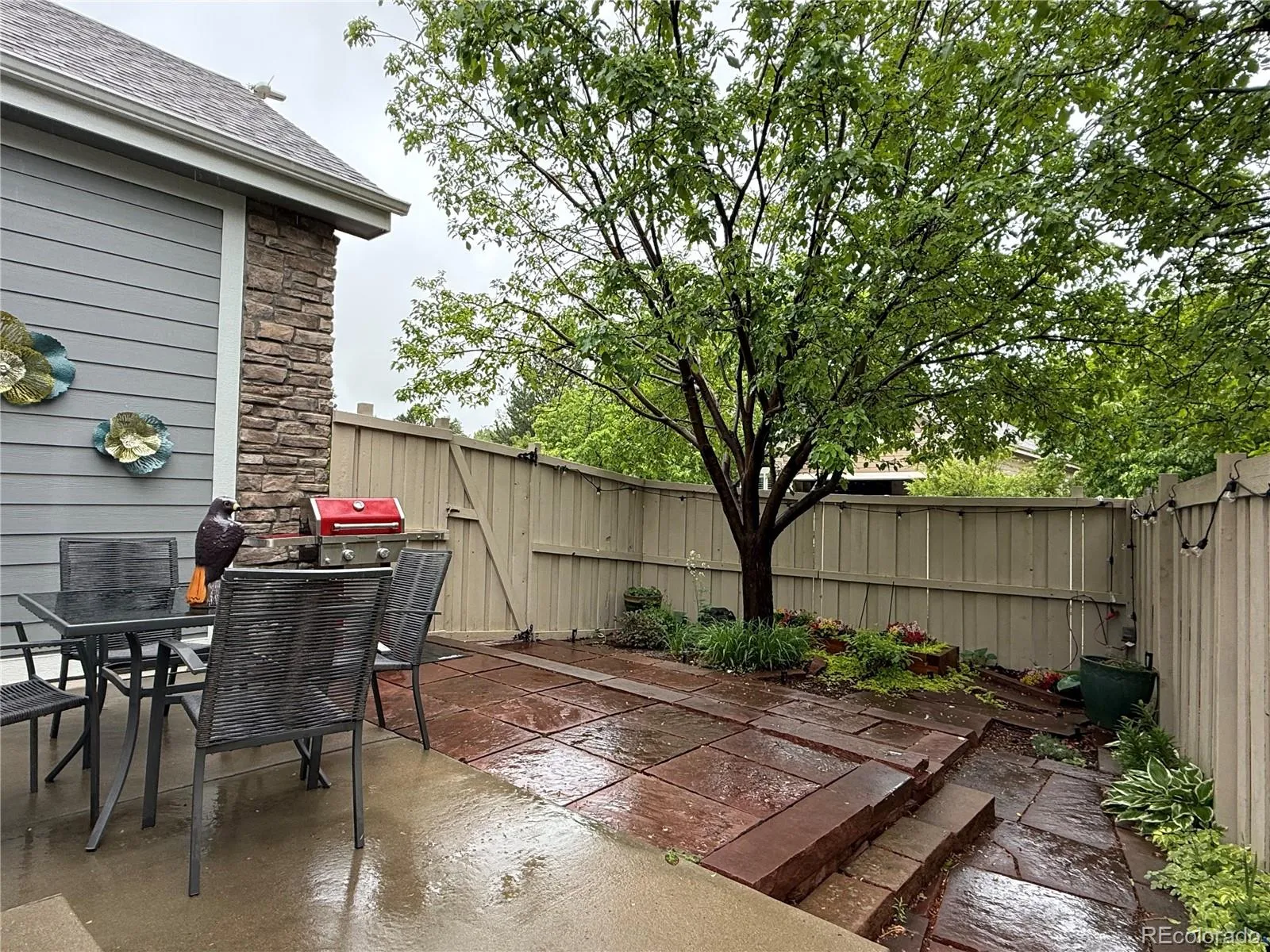 1677 Metropolitan Drive Longmont CO 80504 MLS #REC5884188 05202026001040 1600 25
