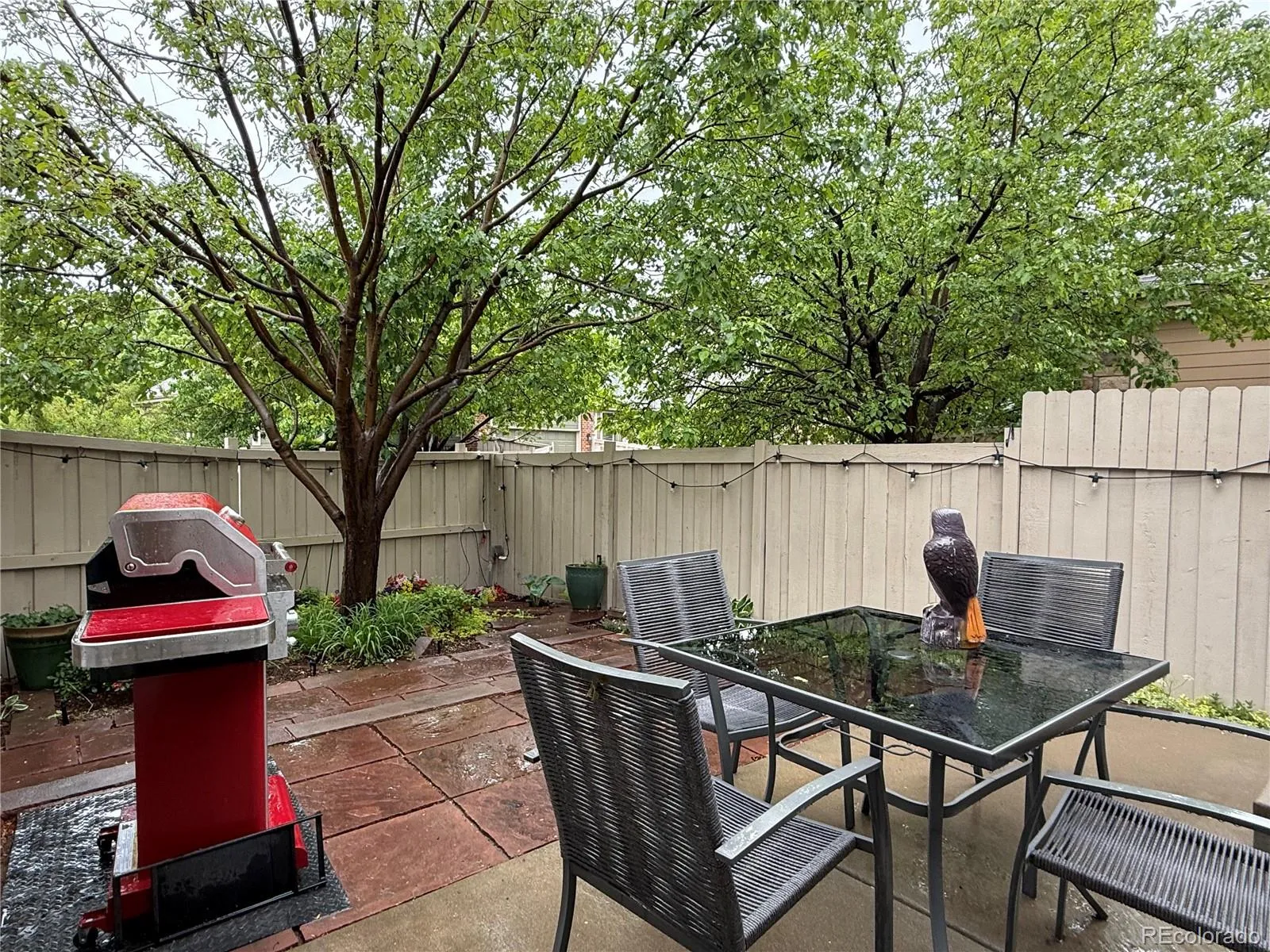 1677 Metropolitan Drive Longmont CO 80504 MLS #REC5884188 05202026001040 1600 26
