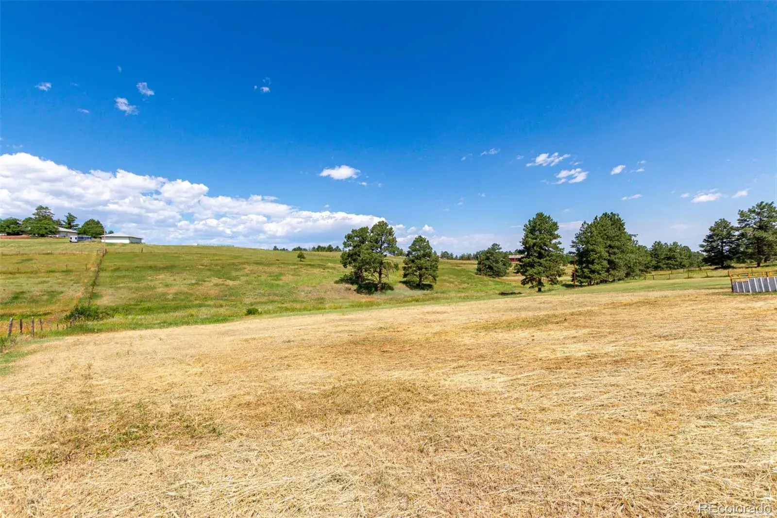 12155 Boot Hill Drive Parker CO 80138 MLS #REC5886609 02242026190447 1600 12