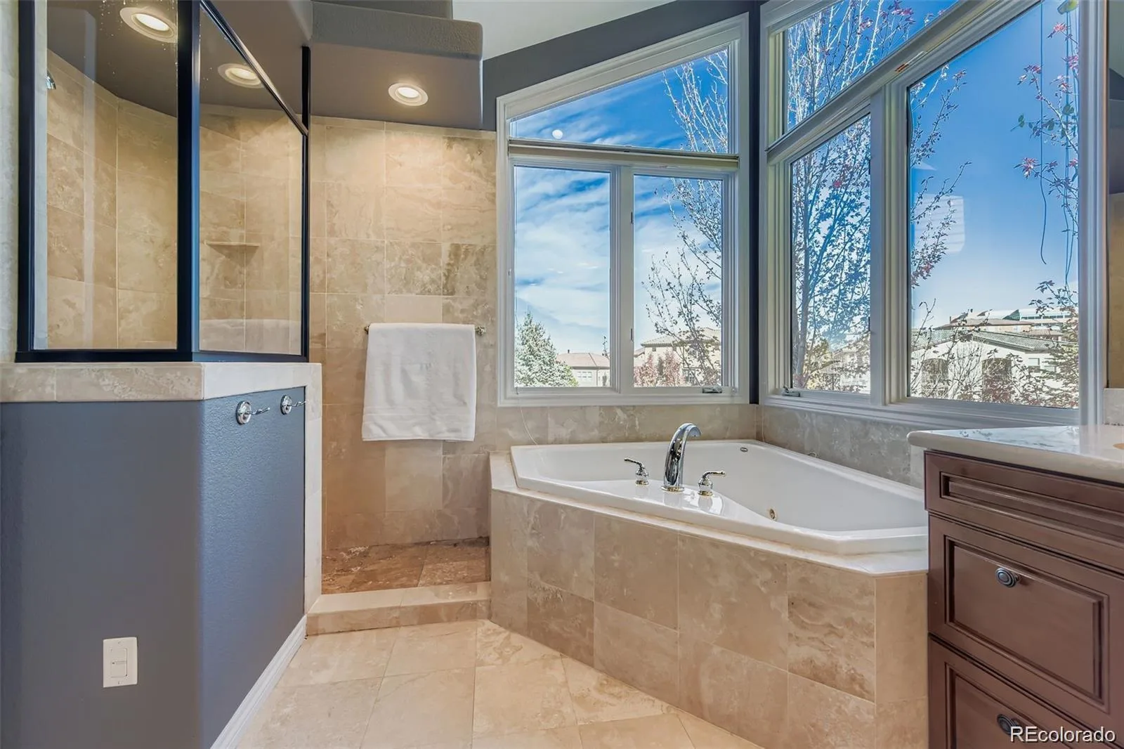 9410 S Silent Hills Drive Lone Tree CO 80124 | MLS #REC5893913 08072026215702 1600 25
